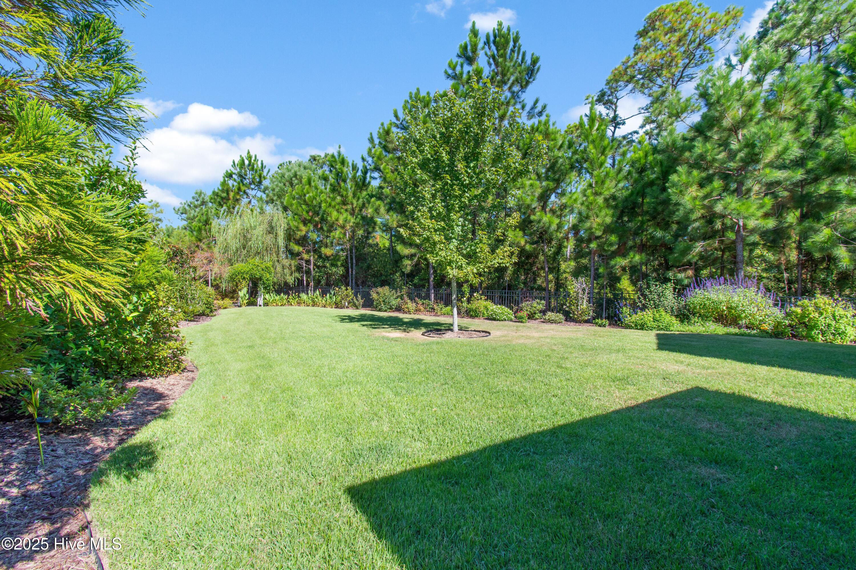 100528892 | Photo 10