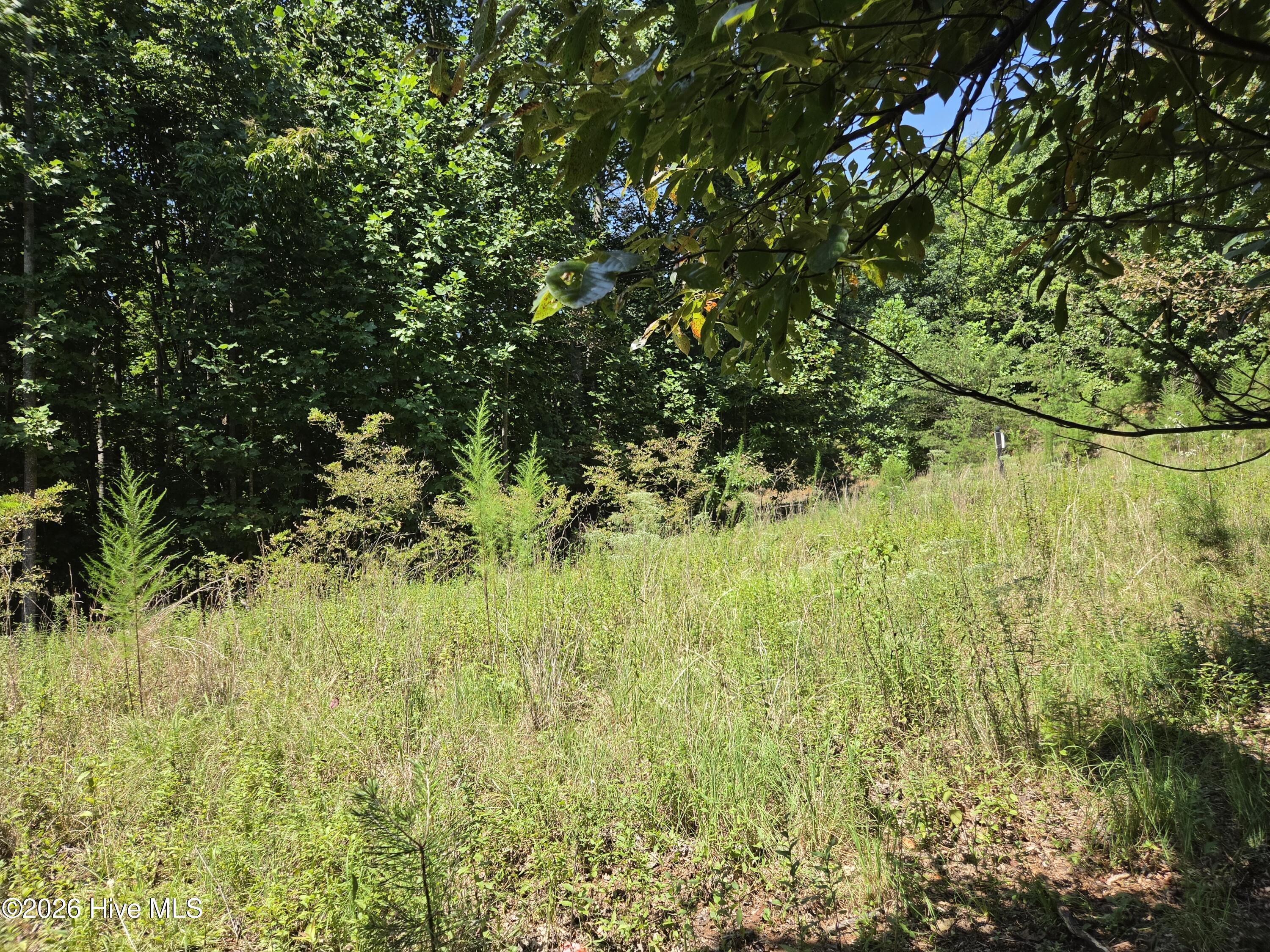 Exterior photo of Lot 69 69 Collins Court, Murphy, NC 28906. MLS: 100598086