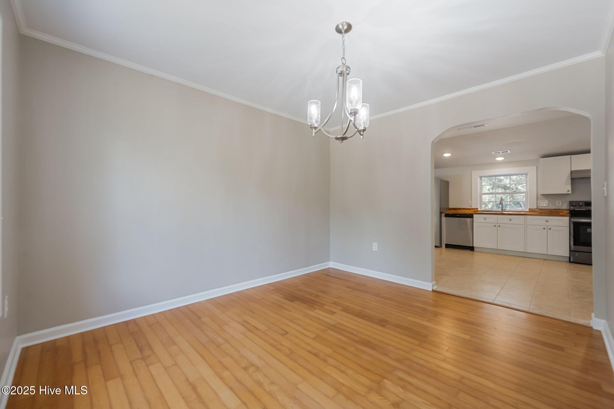 100551658 | Photo 17