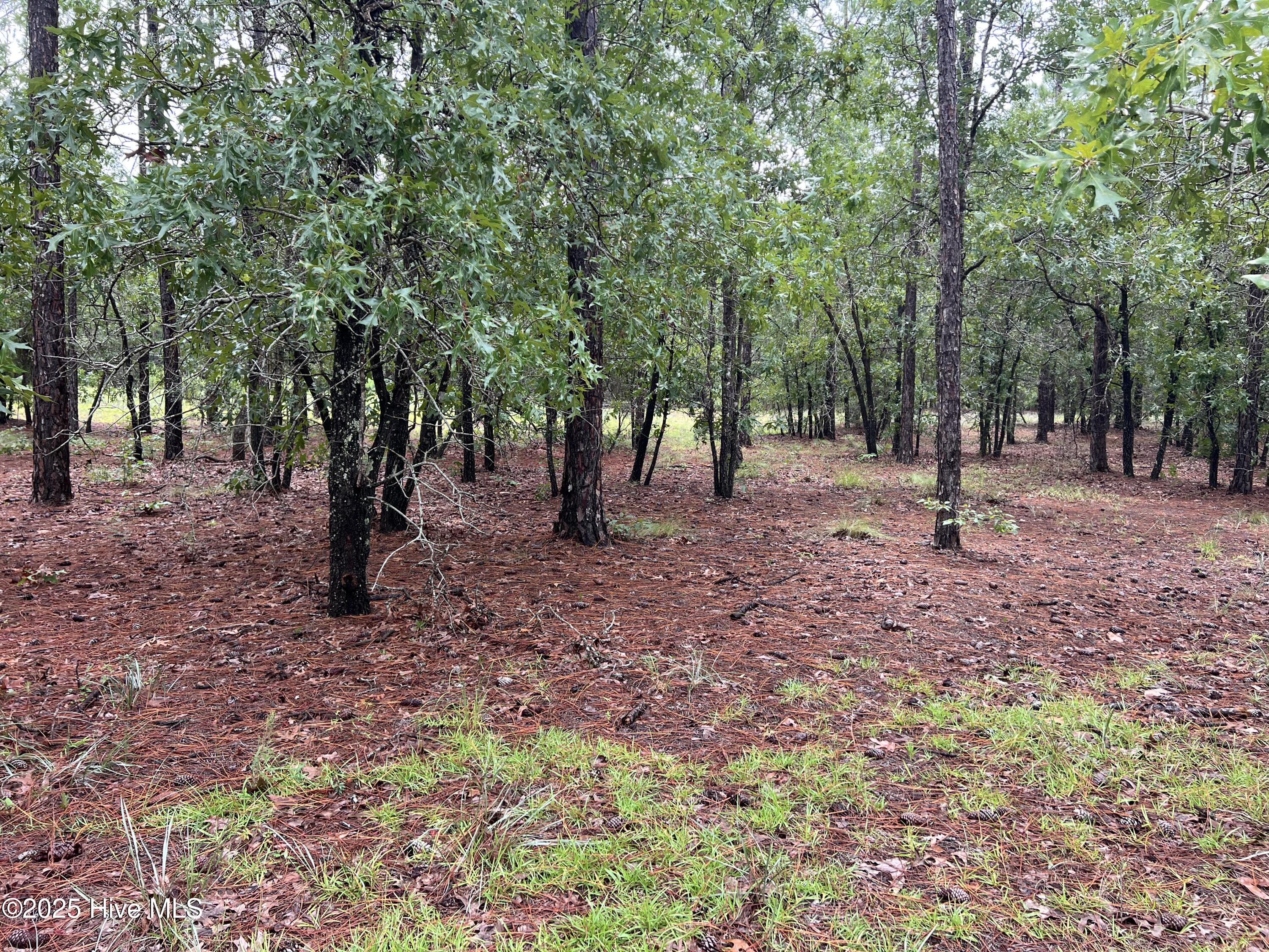 100527062 | Photo 10