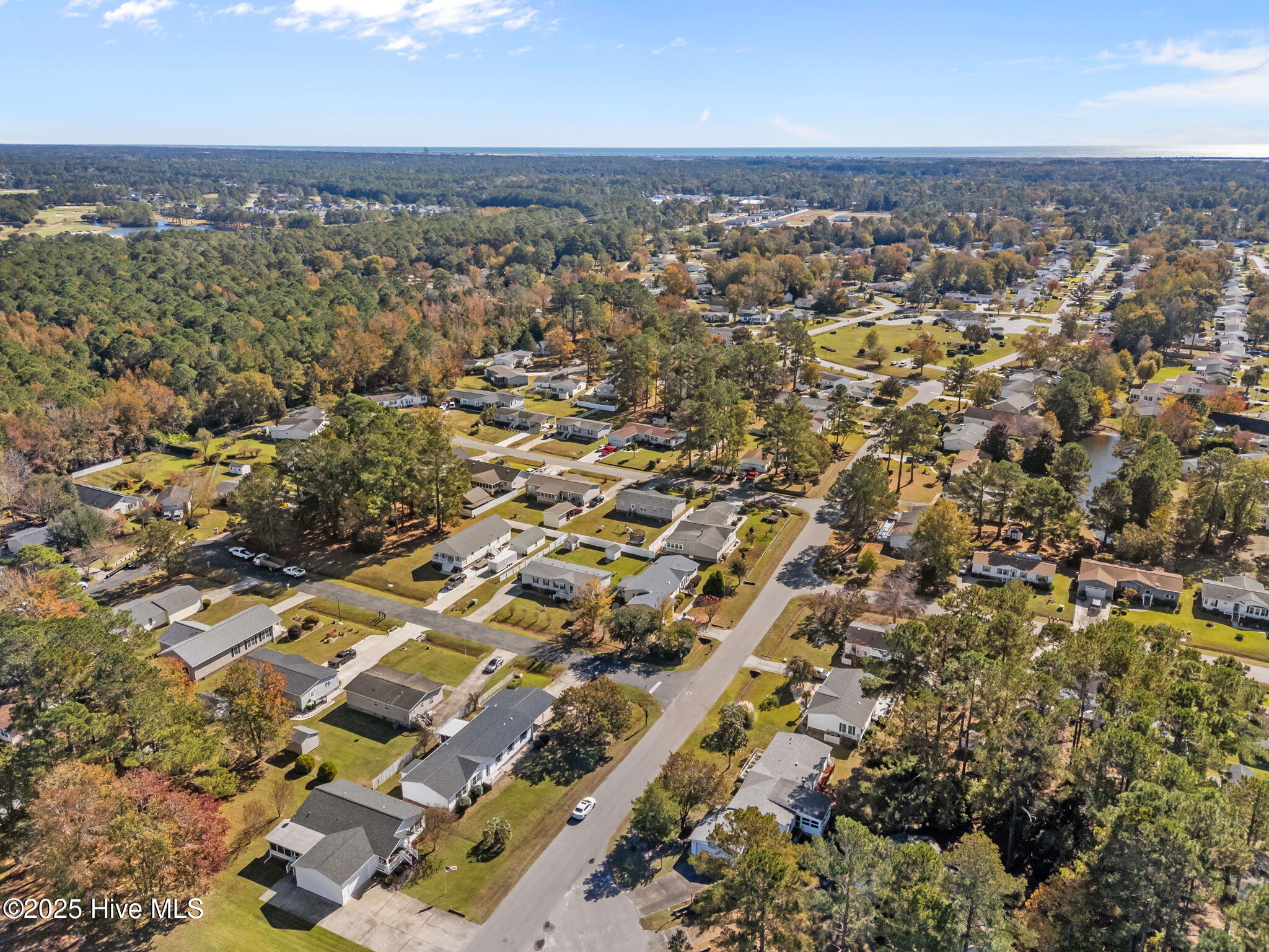 100535102 | Photo 51