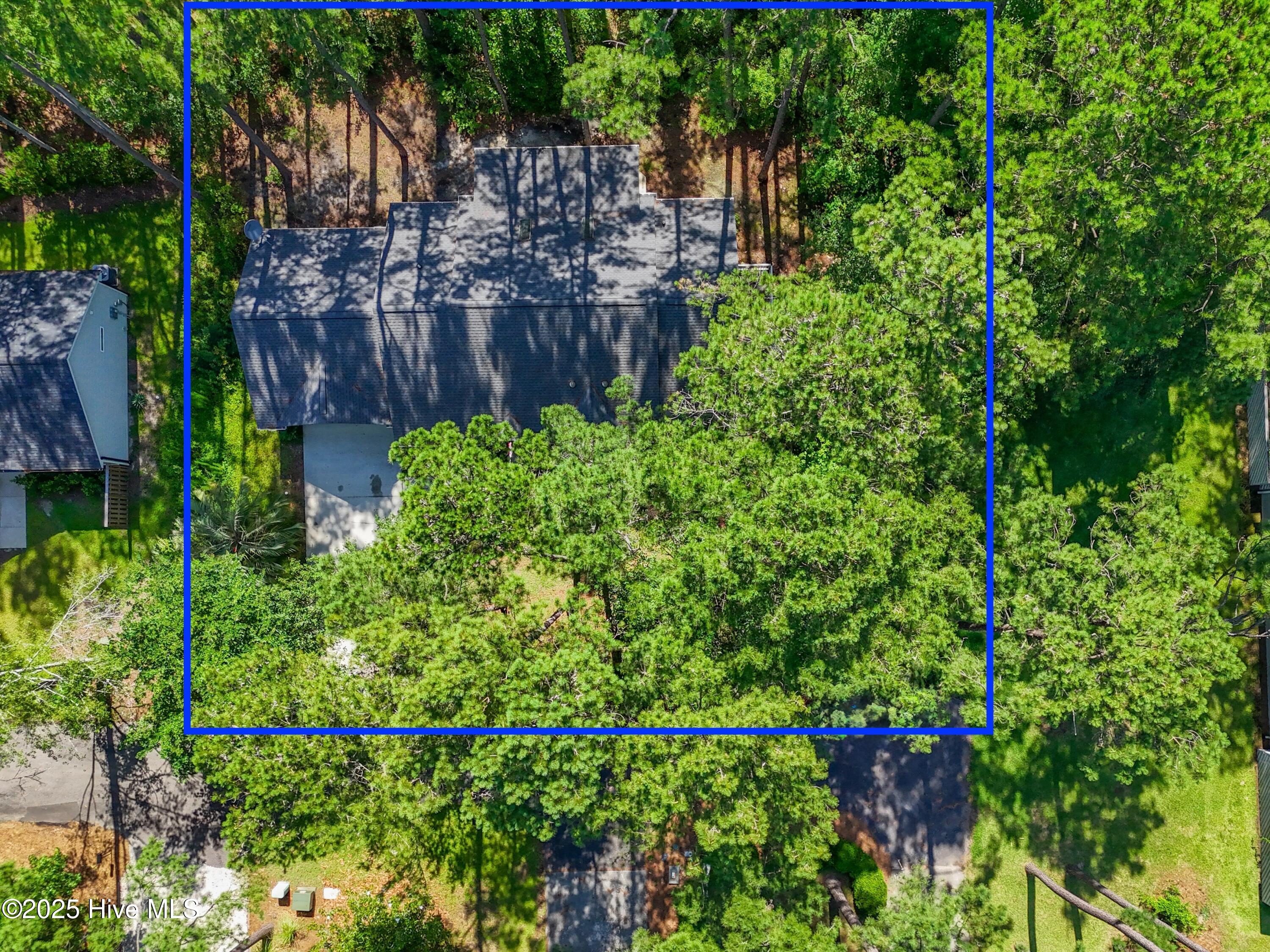 100515628 | Photo 40