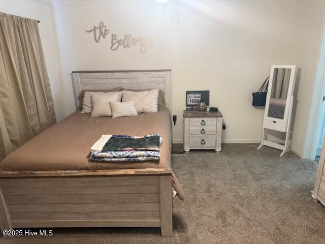 100542049 | Photo 31