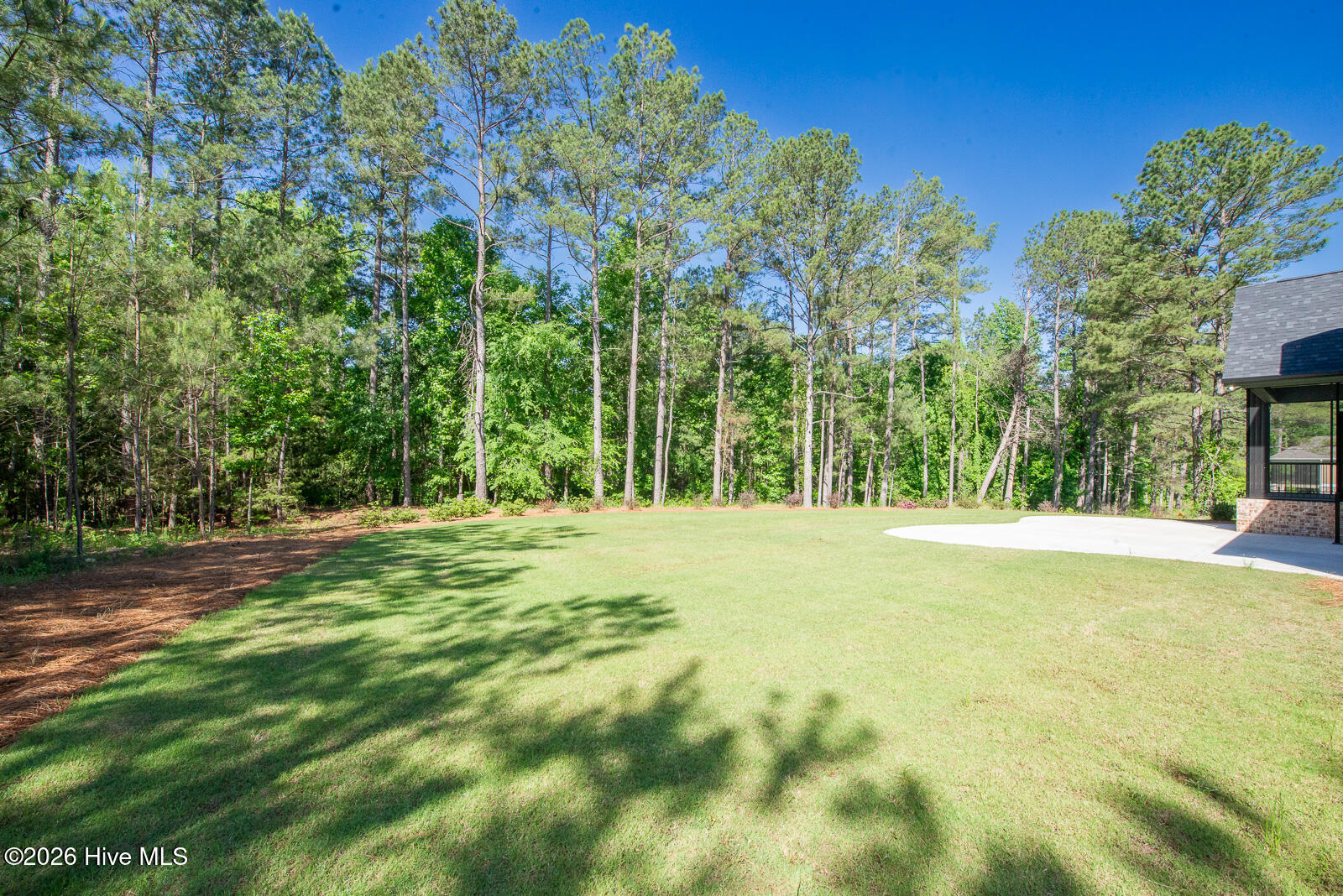 Backyard!