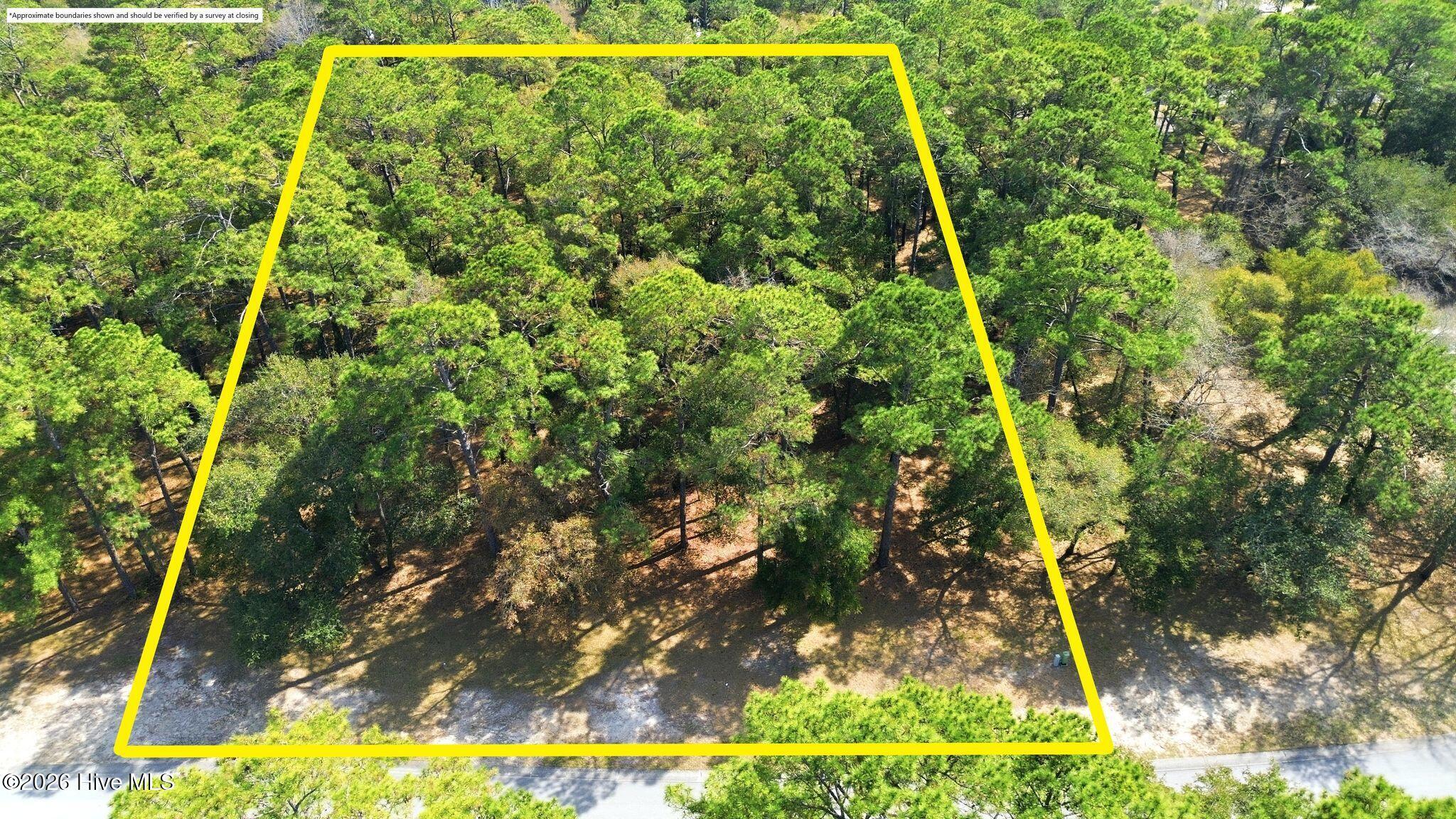 100562202 | Photo 10