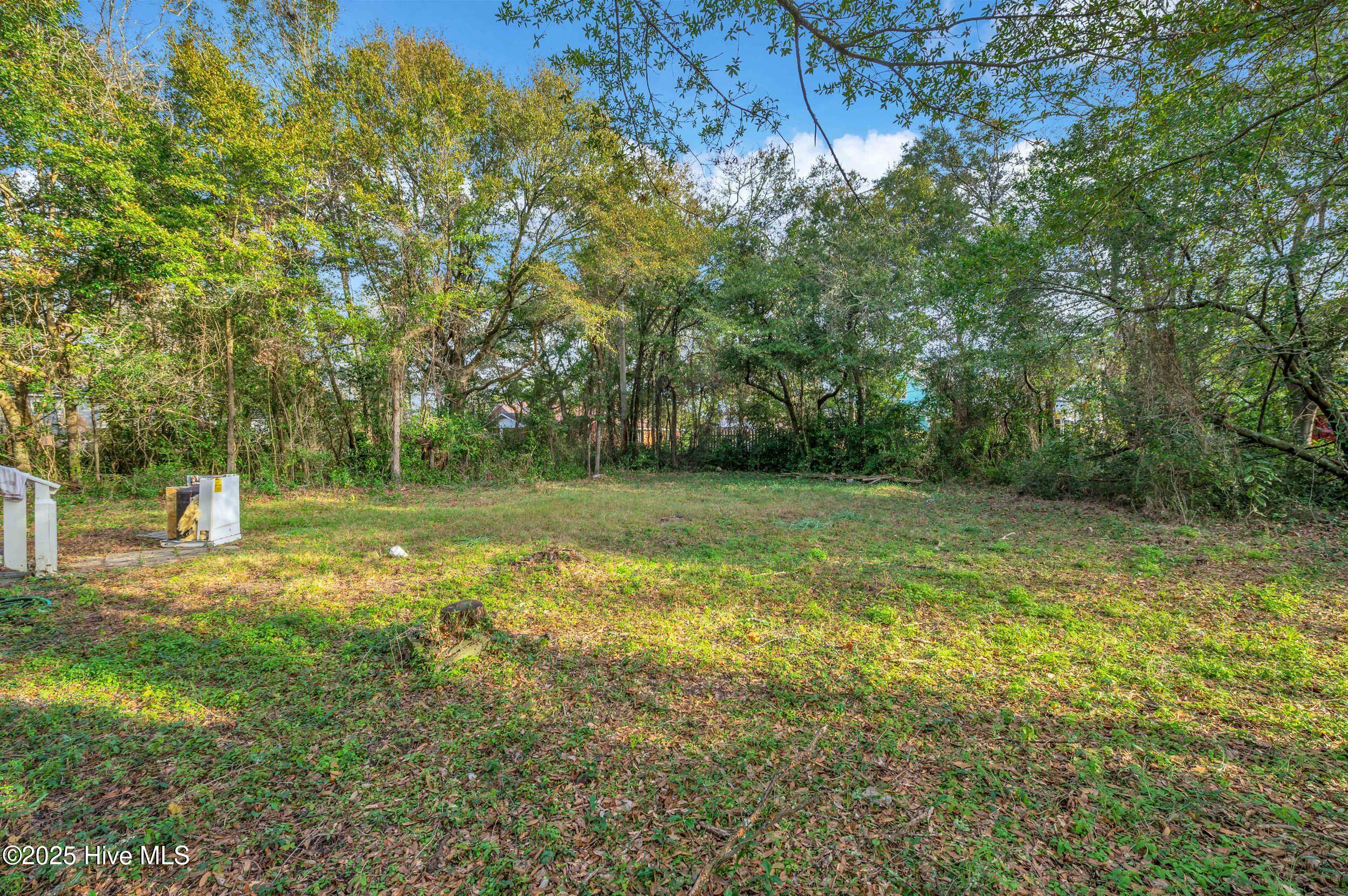 100545934 | Photo 23