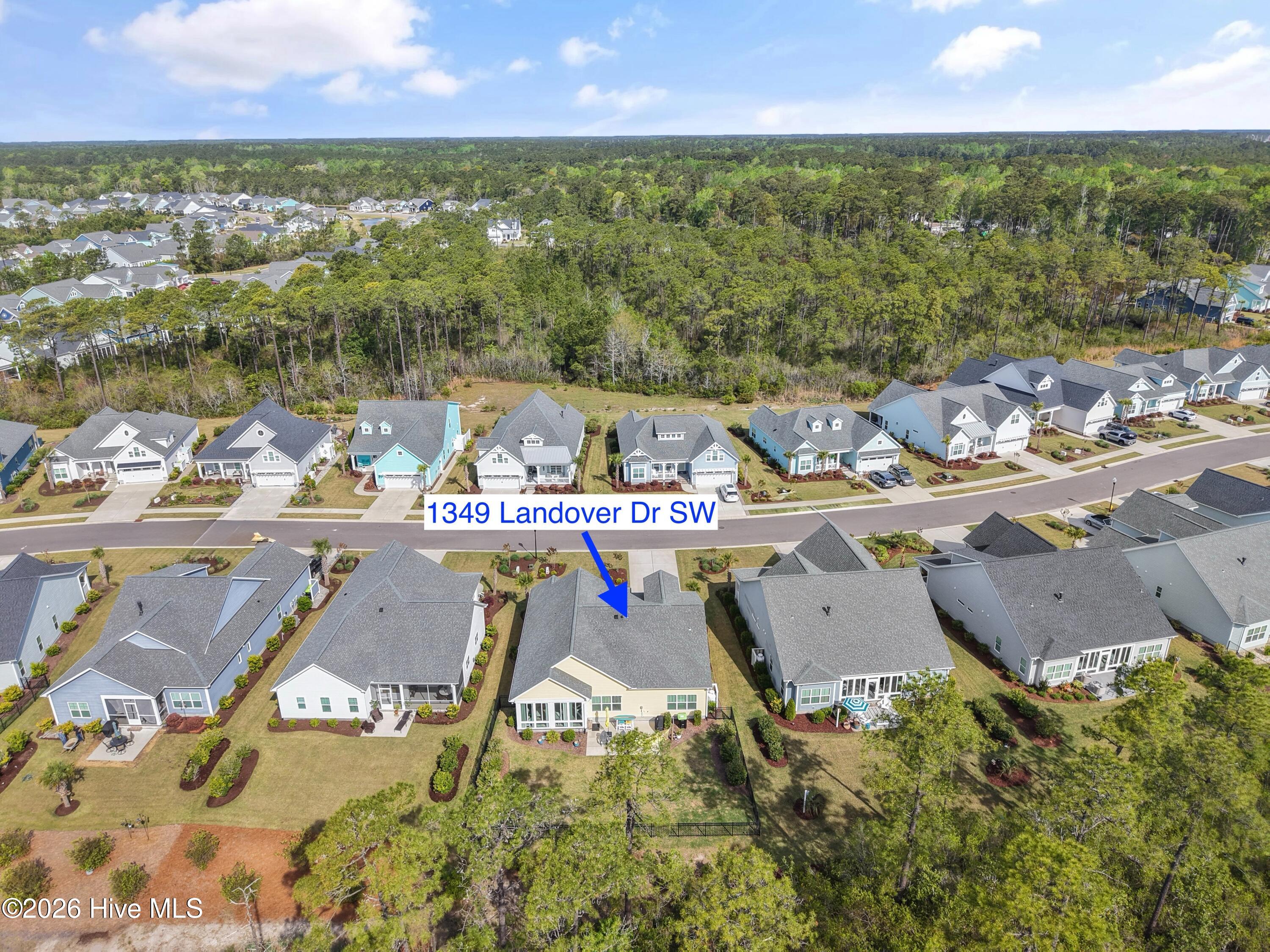 100566064 | Photo 58