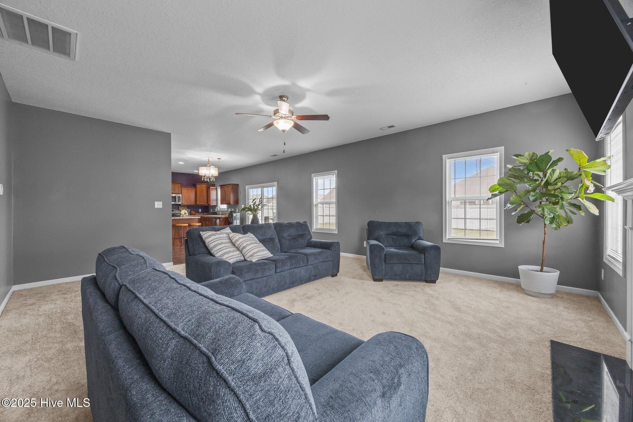 100555918 | Photo 22