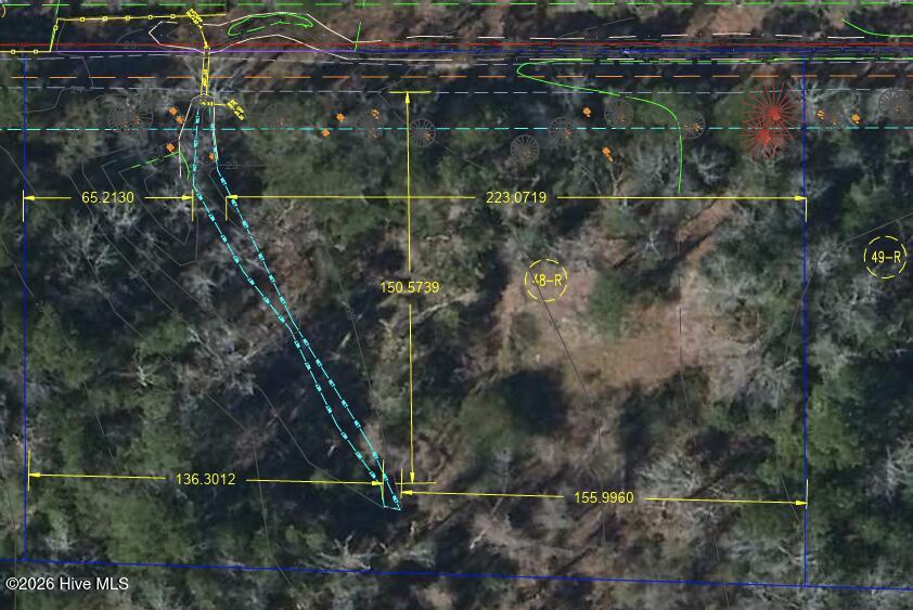 100543553 | Photo 11