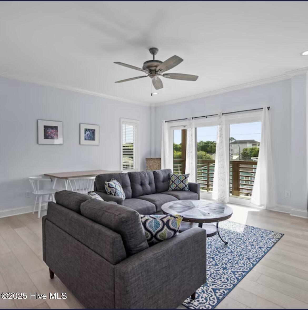 100517488 | Photo 17