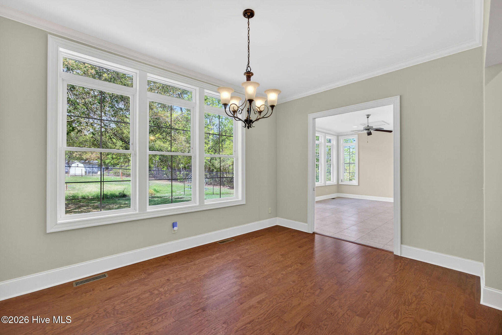 100566414 | Photo 32