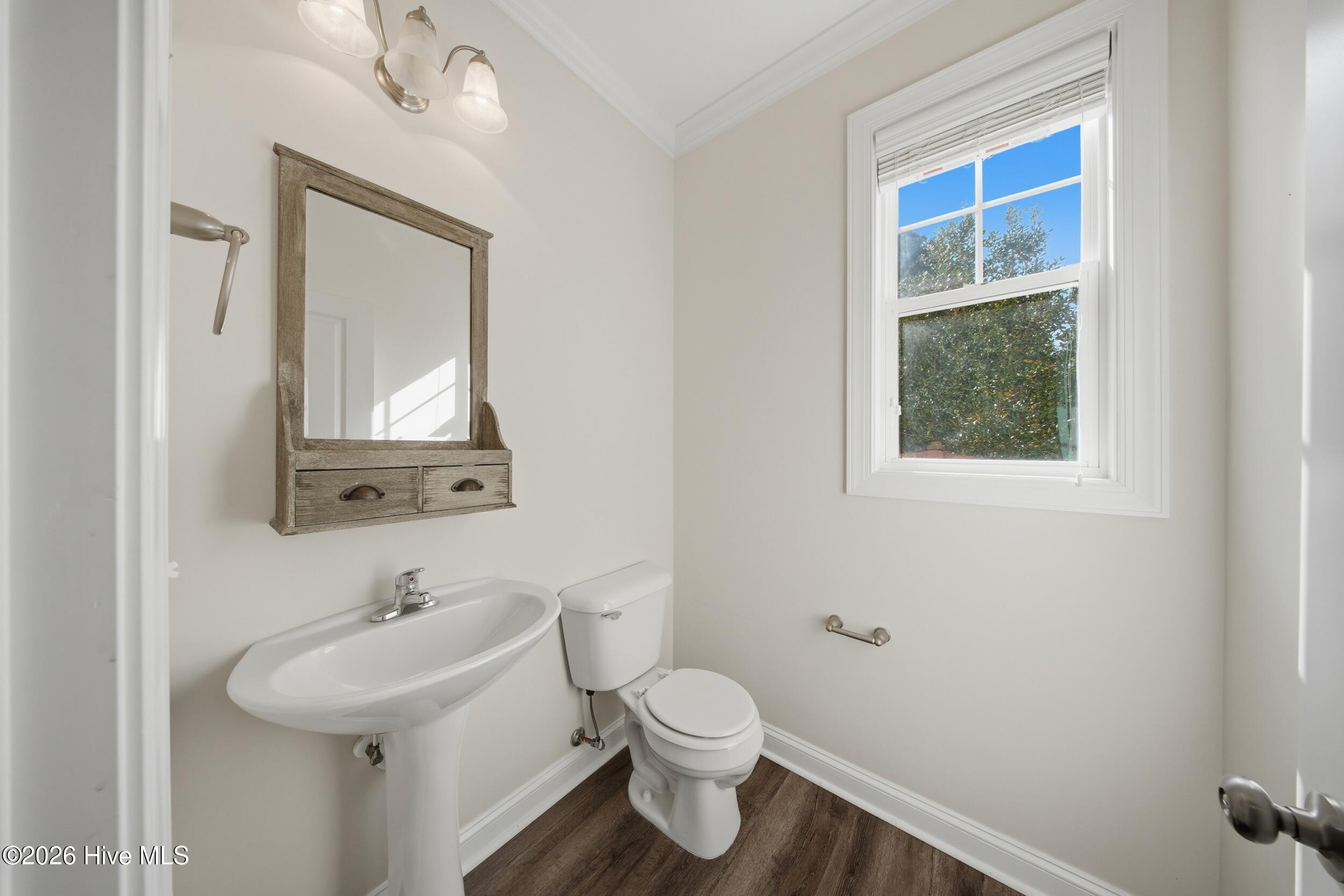 100564120 | Photo 30