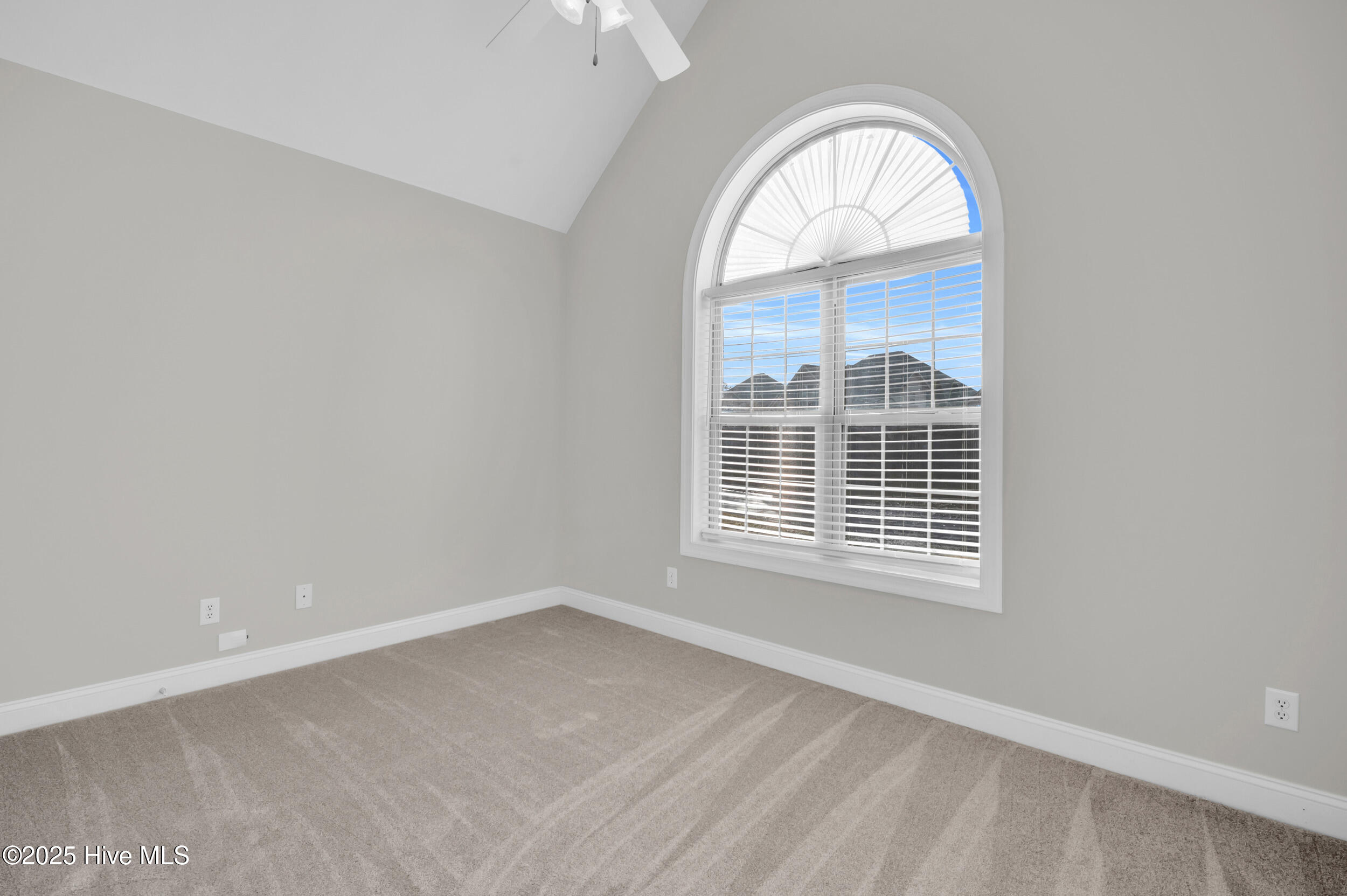 100539518 | Photo 30