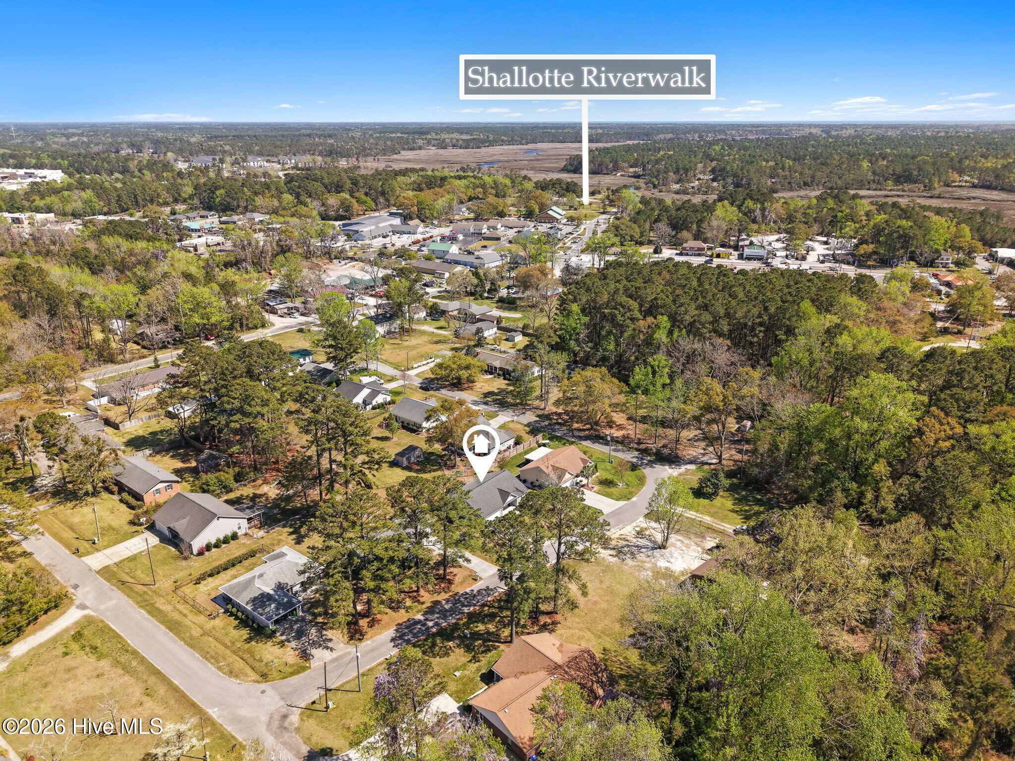 100564641 | Photo 48