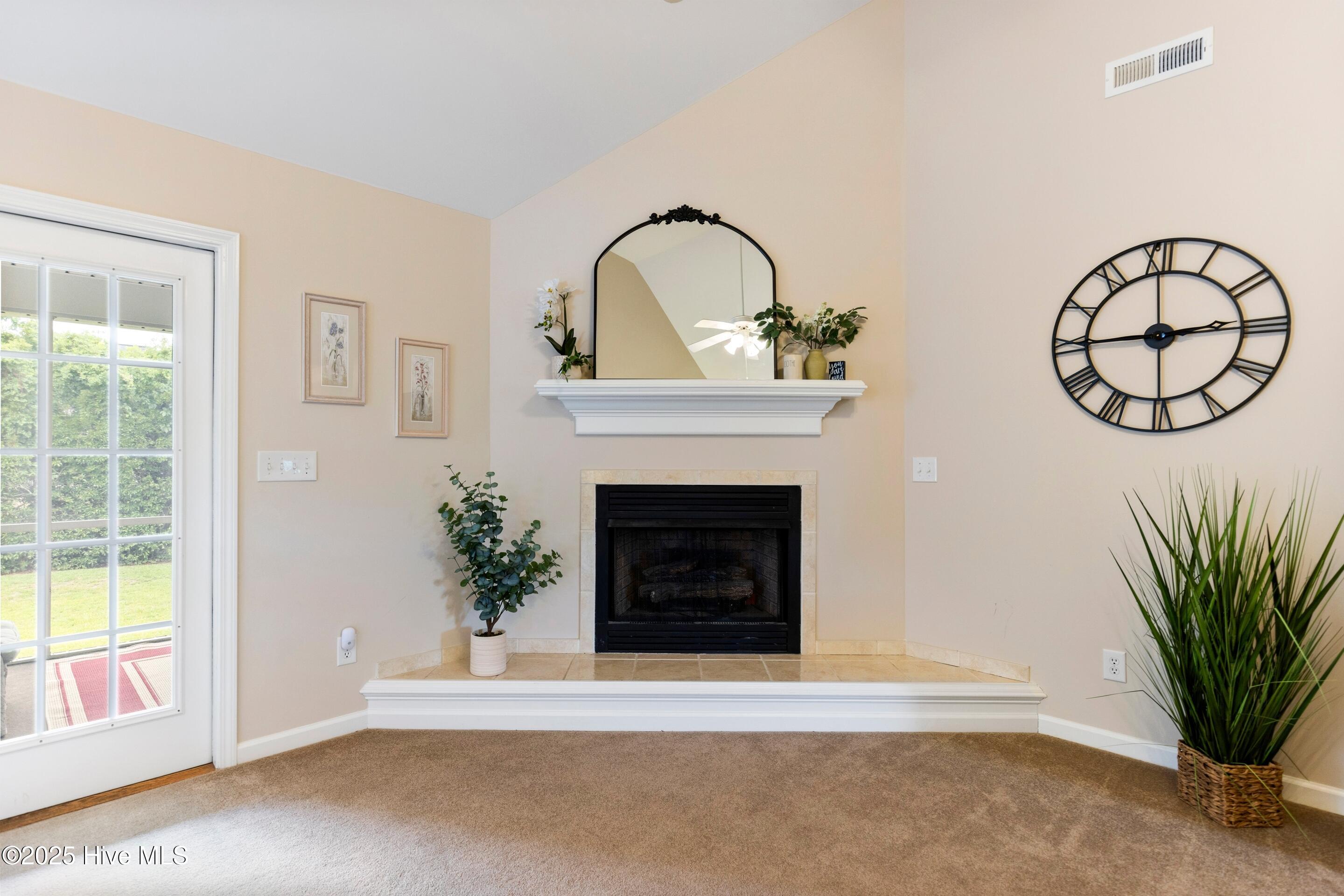 100519382 | Photo 10