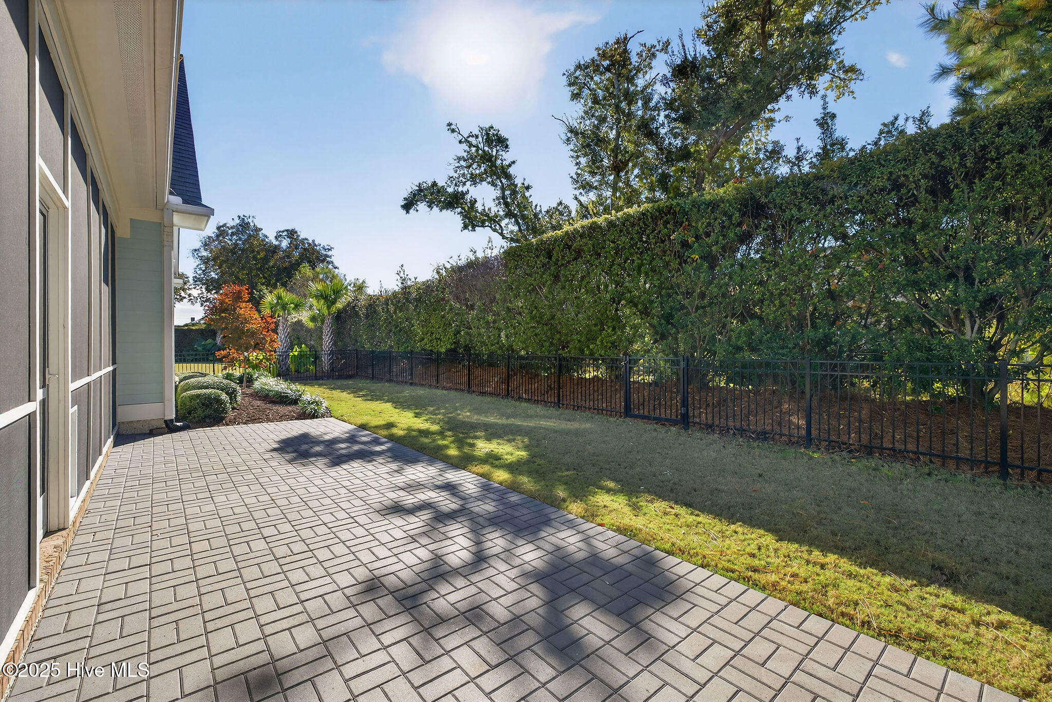 100512498 | Photo 65