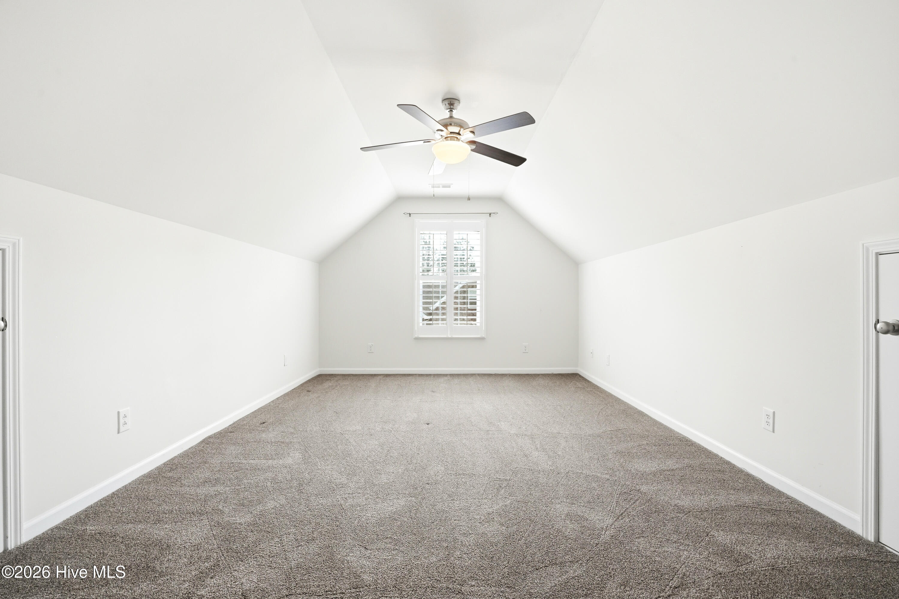 100564881 | Photo 35