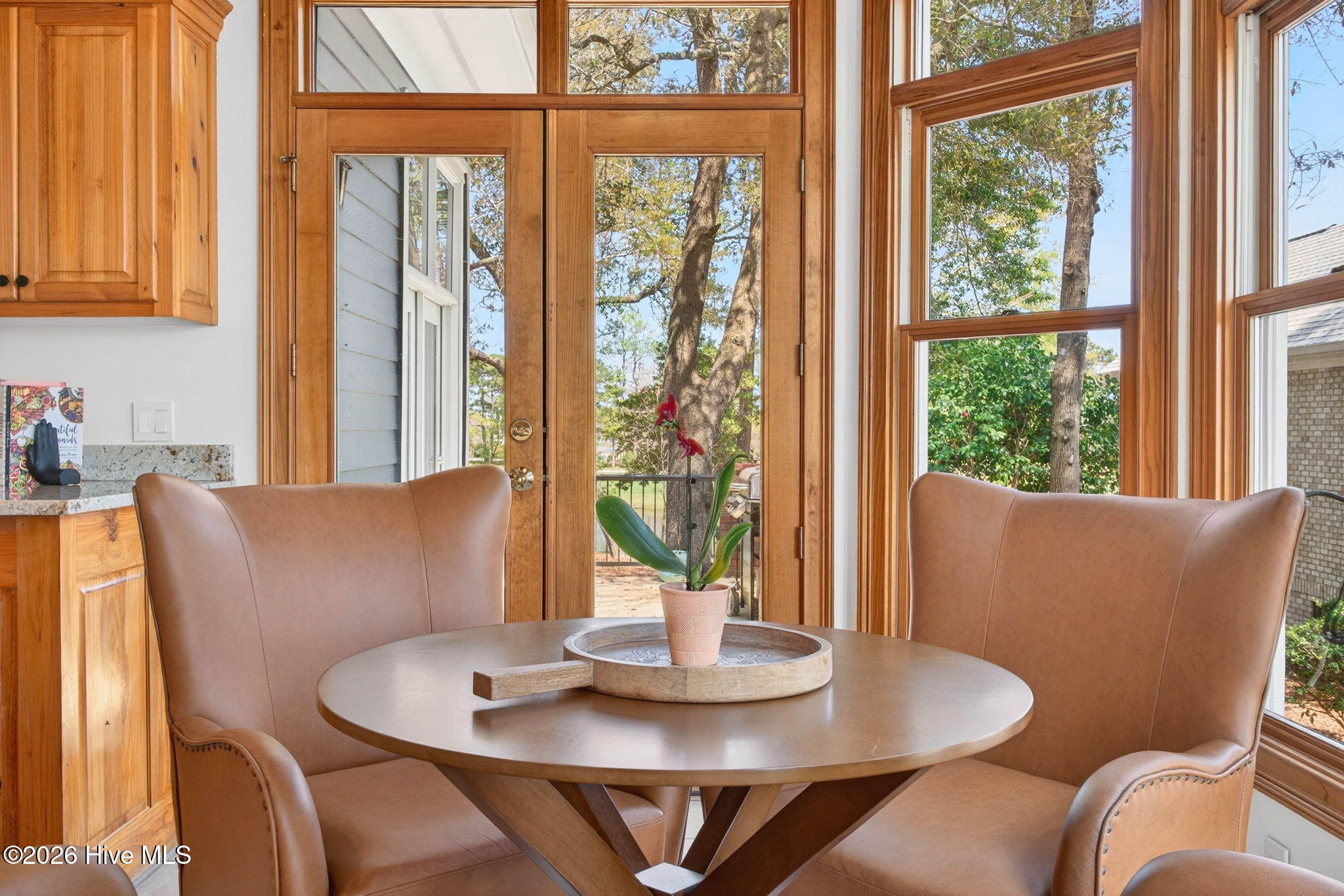 100564885 | Photo 29