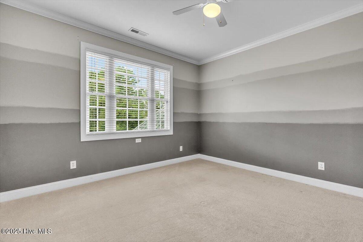 100534566 | Photo 81