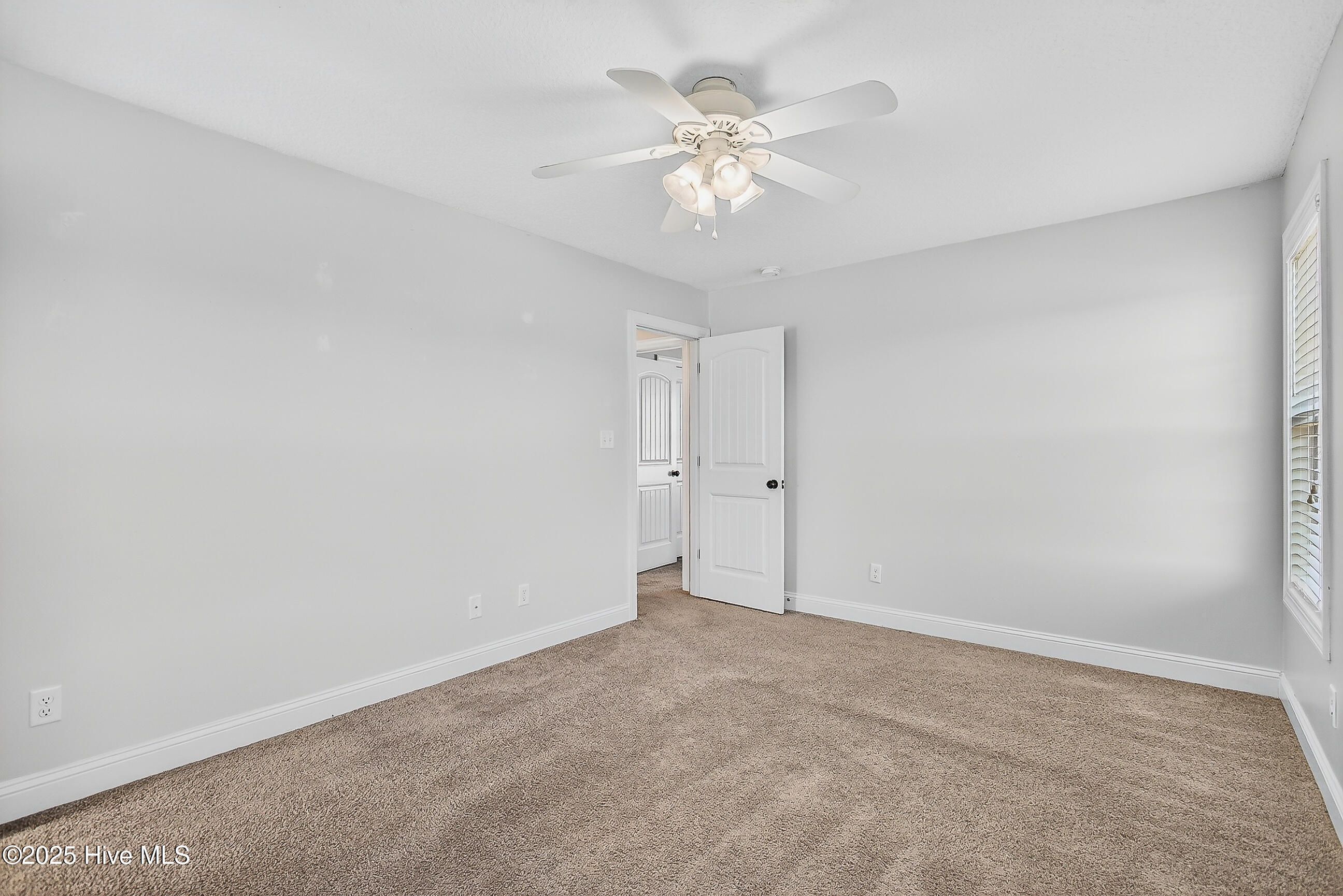 100541345 | Photo 32