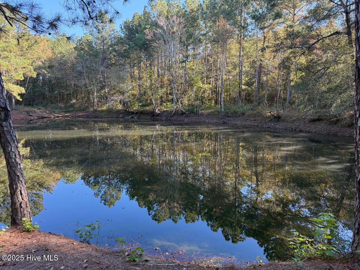 100540348 | Photo 40