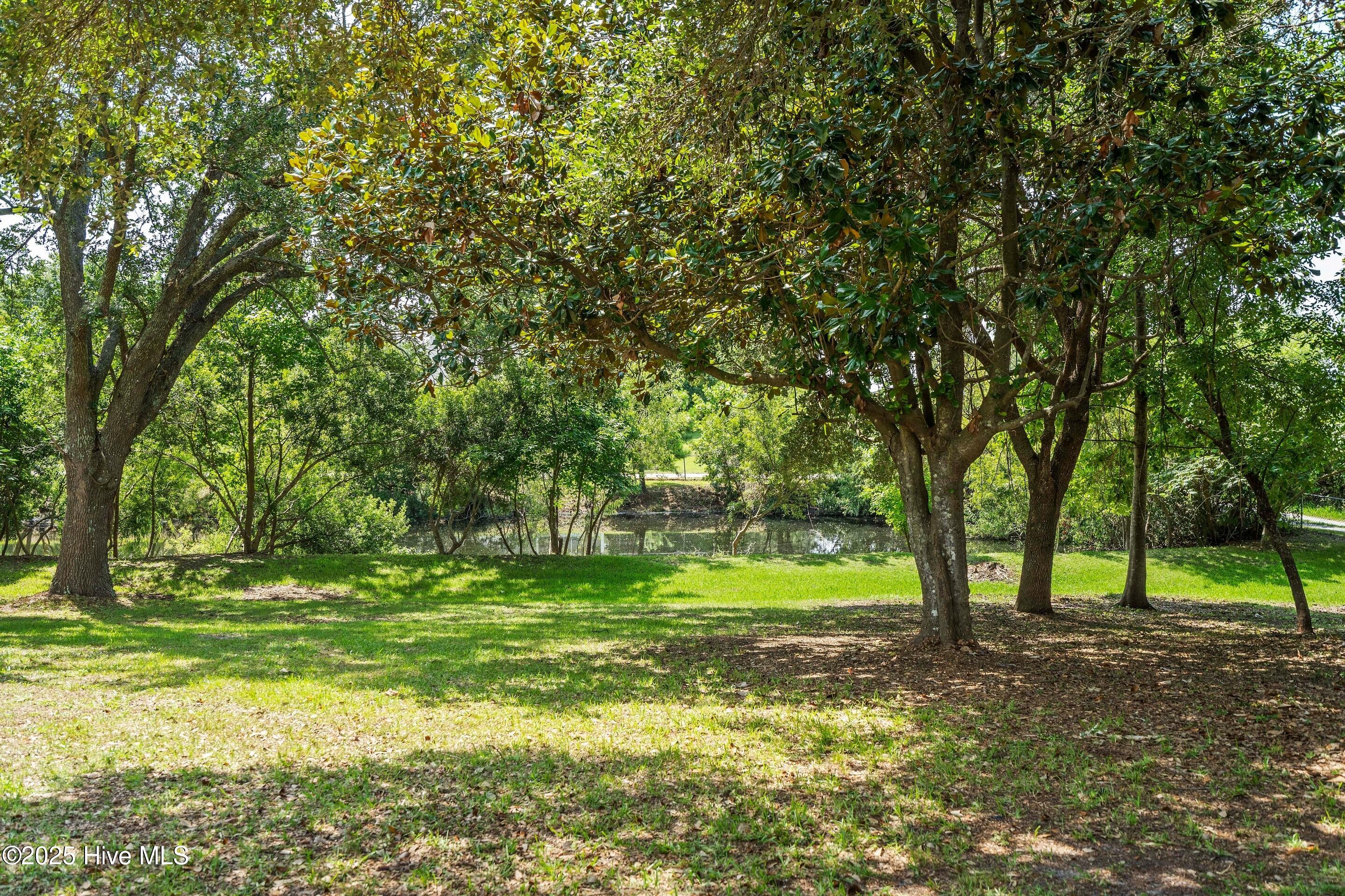 100522461 | Photo 41