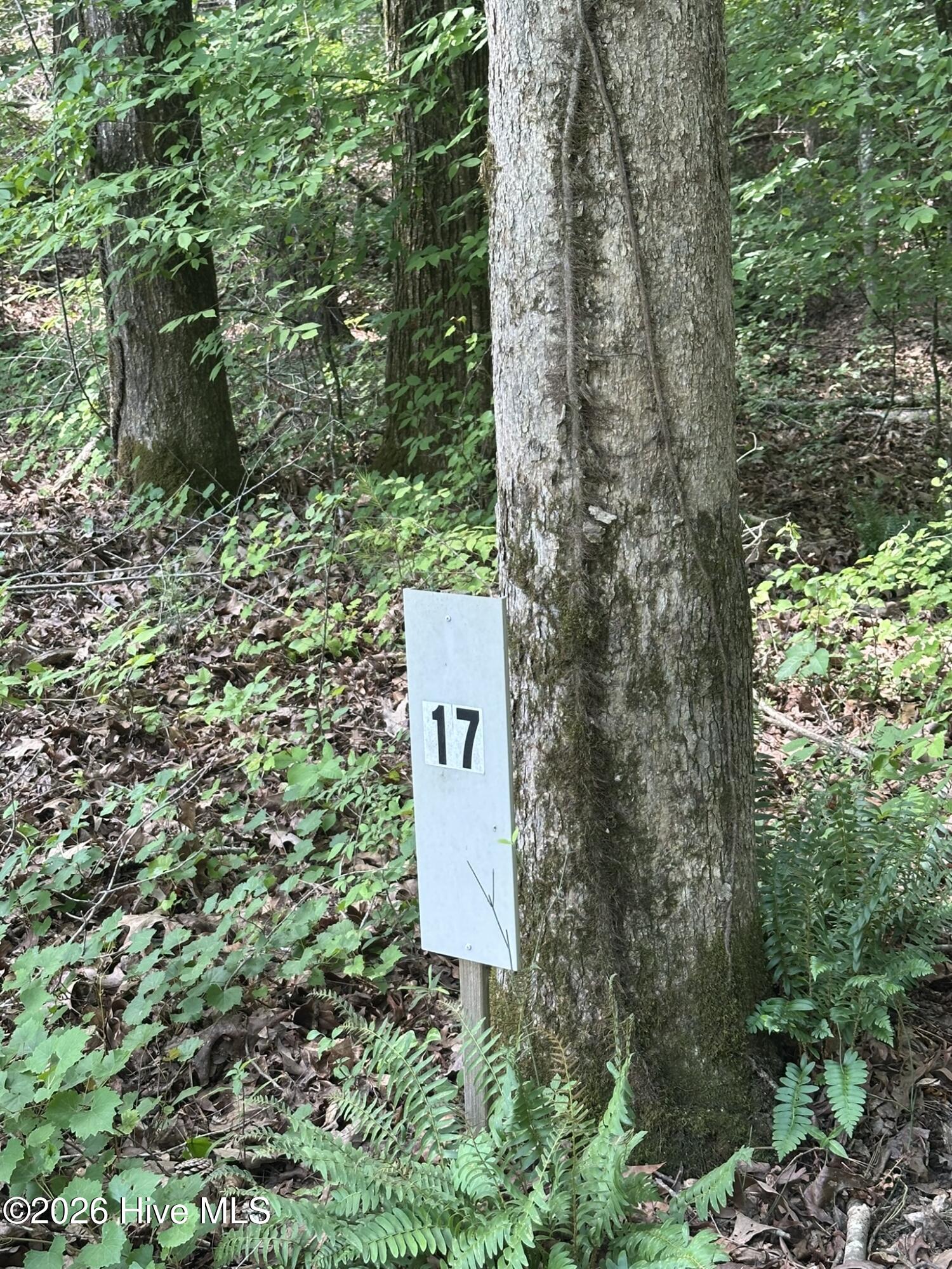 Lot Marker at Path going into the property