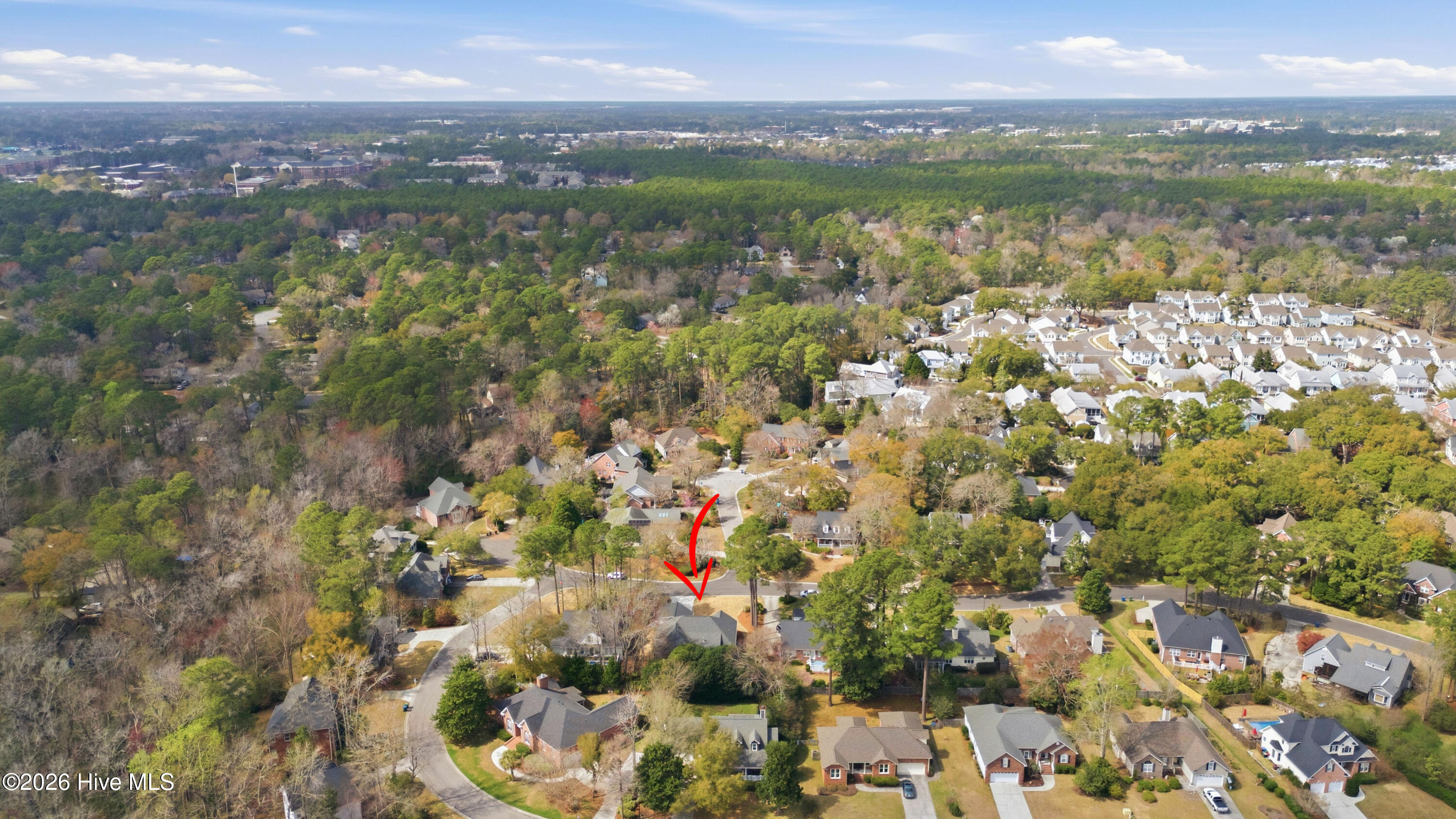 100560916 | Photo 92