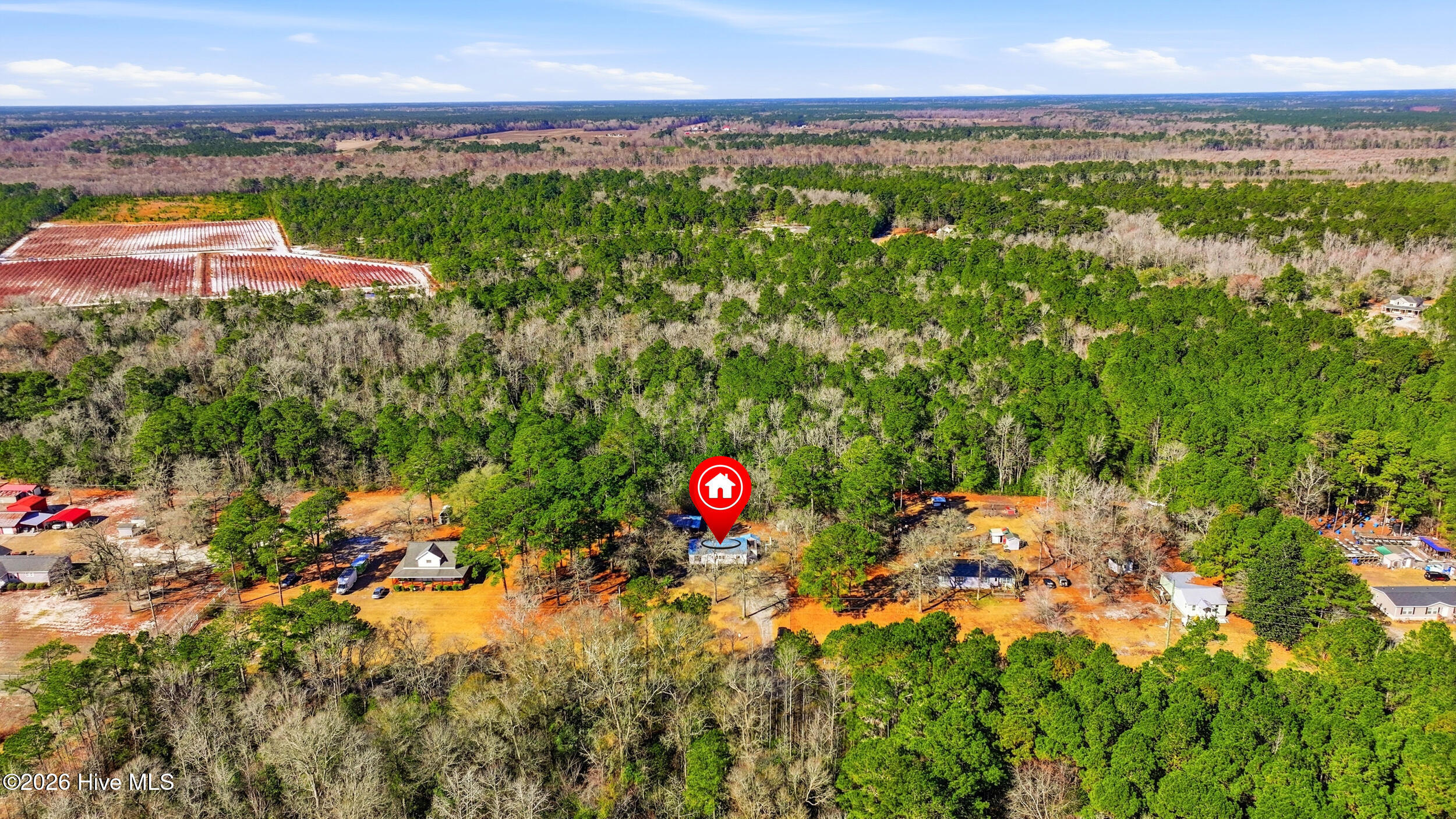 100556630 | Photo 40