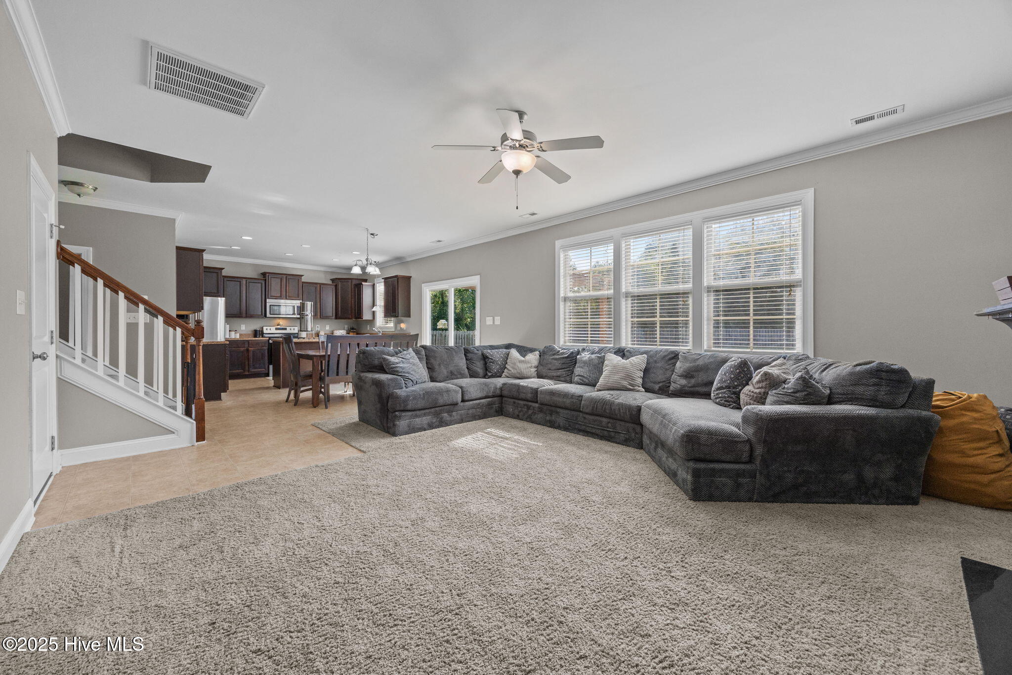 100533509 | Photo 13