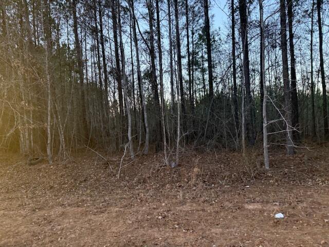 Homes for sale in Warrenton, GA | 1398 Mauldin Rd, Warrenton, GA 30828 | MLS# 552436