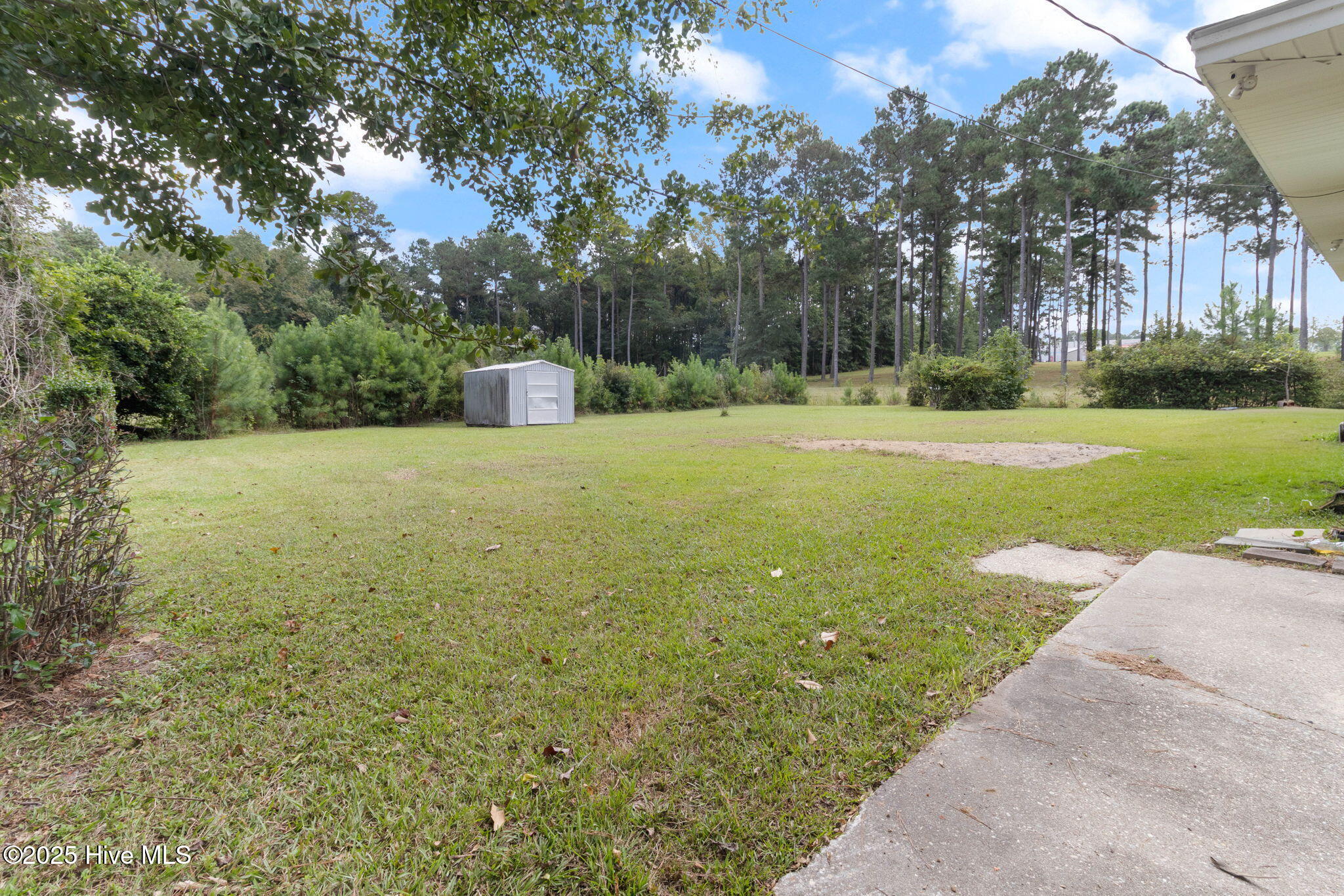 100533593 | Photo 18