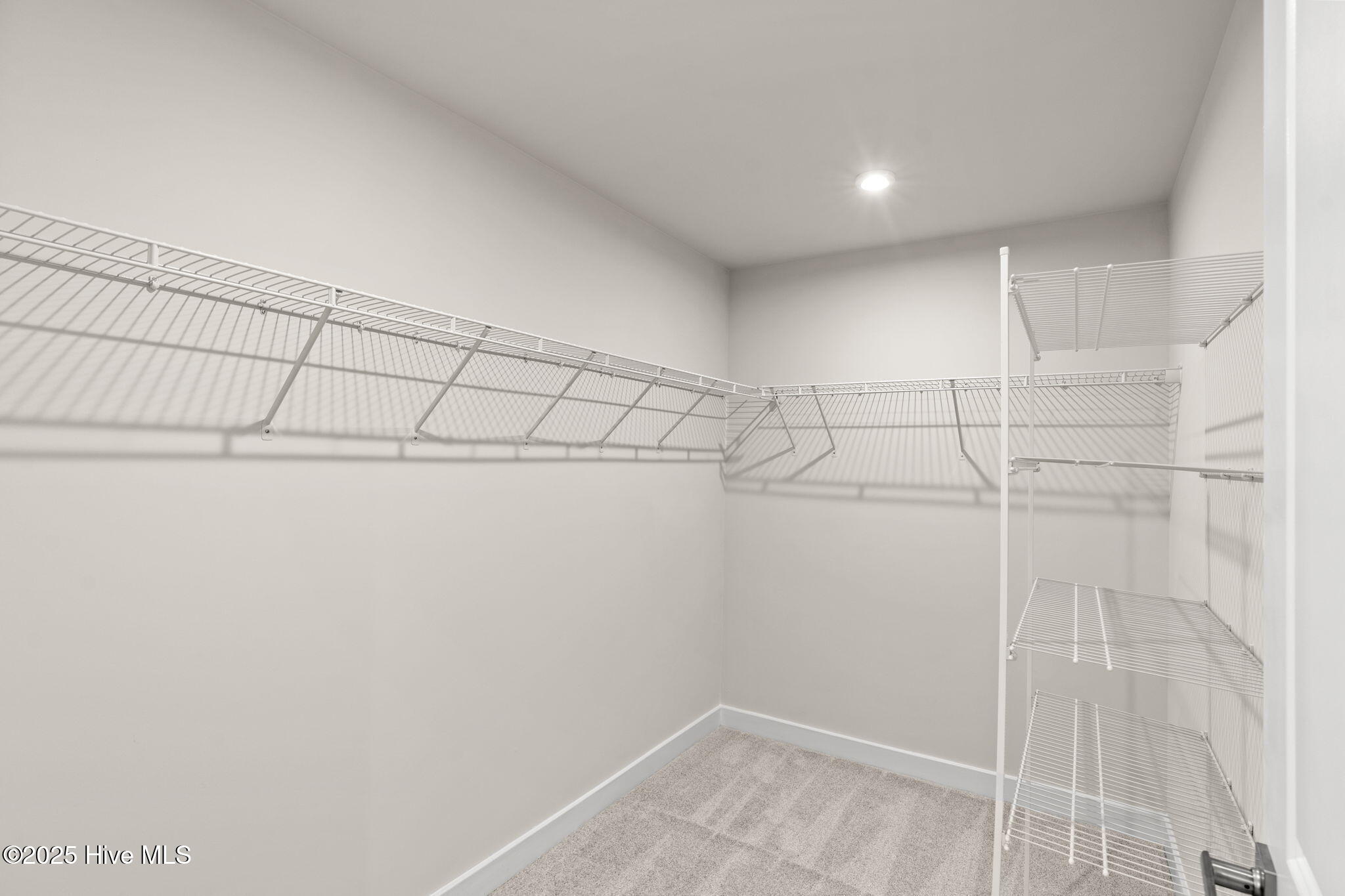 100541179 | Photo 16