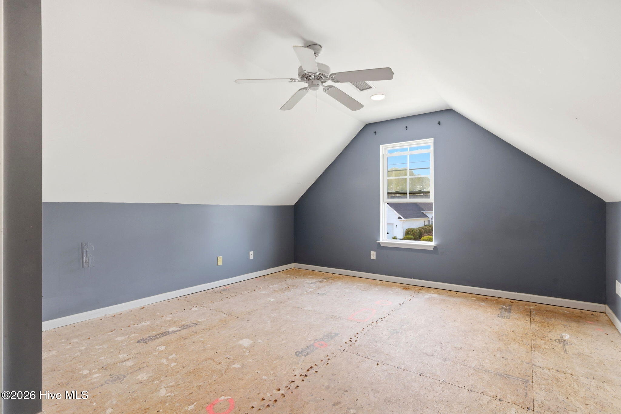 100556646 | Photo 24