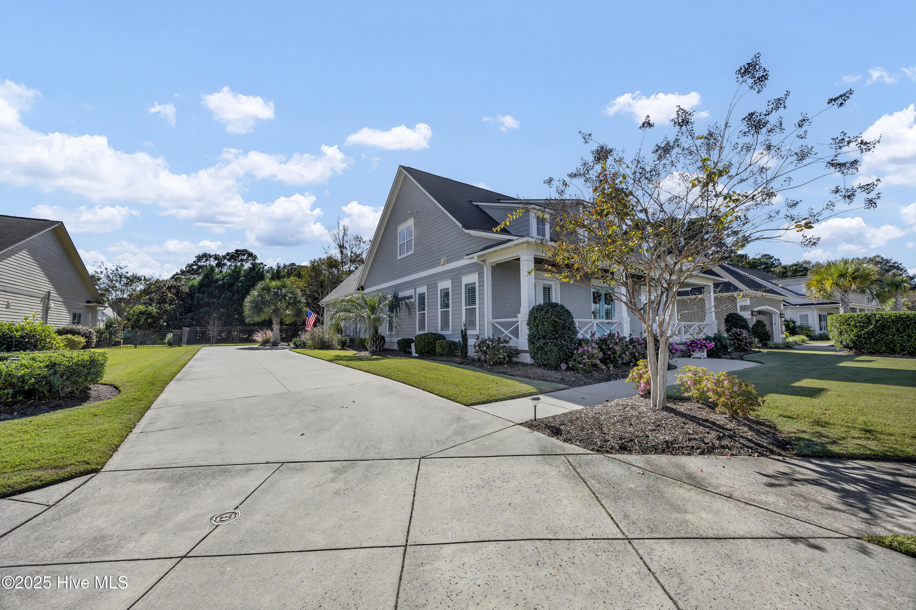 100538273 | Photo 47