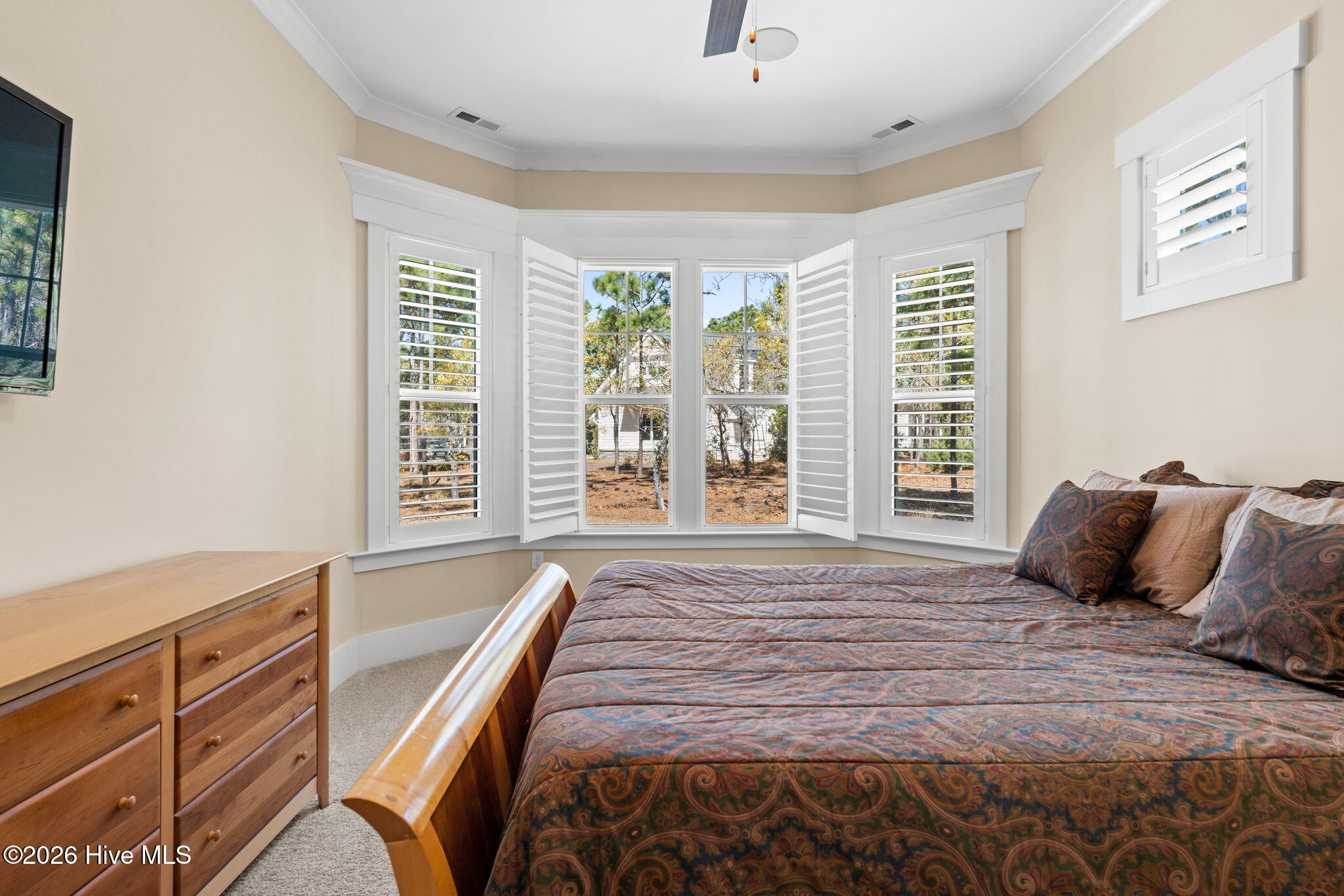 100564943 | Photo 22