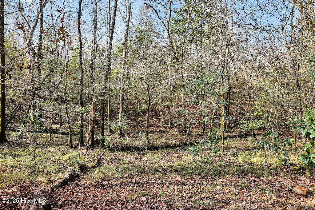 100543761 | Photo 31