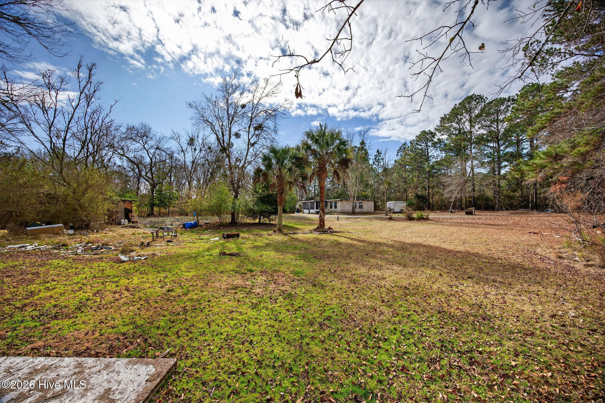 100551489 | Photo 43