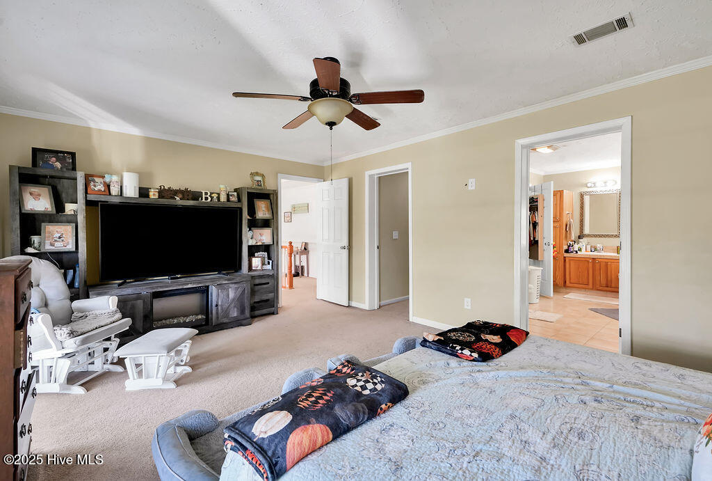 100537845 | Photo 38