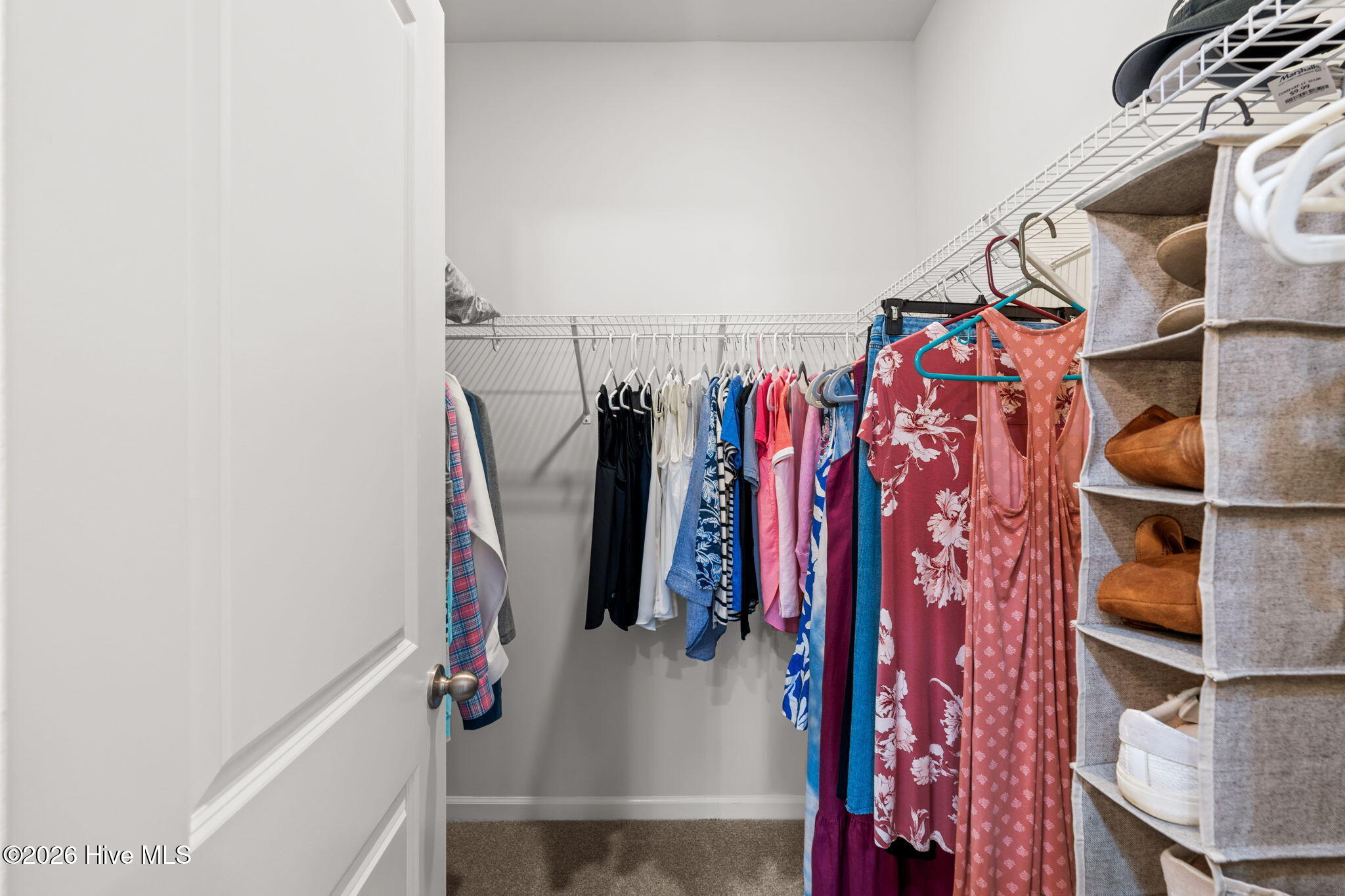 100567065 | Photo 19