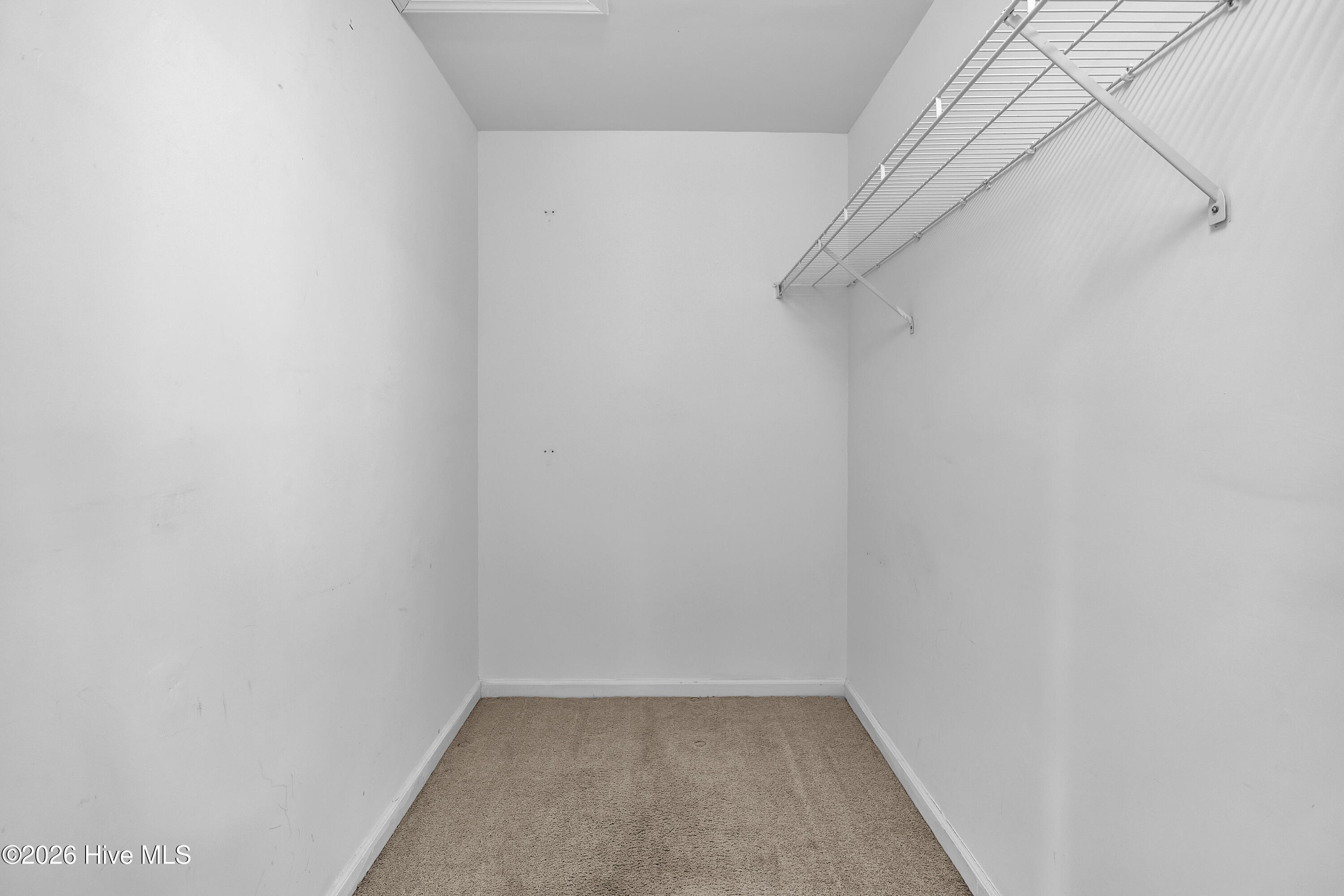 100560677 | Photo 24