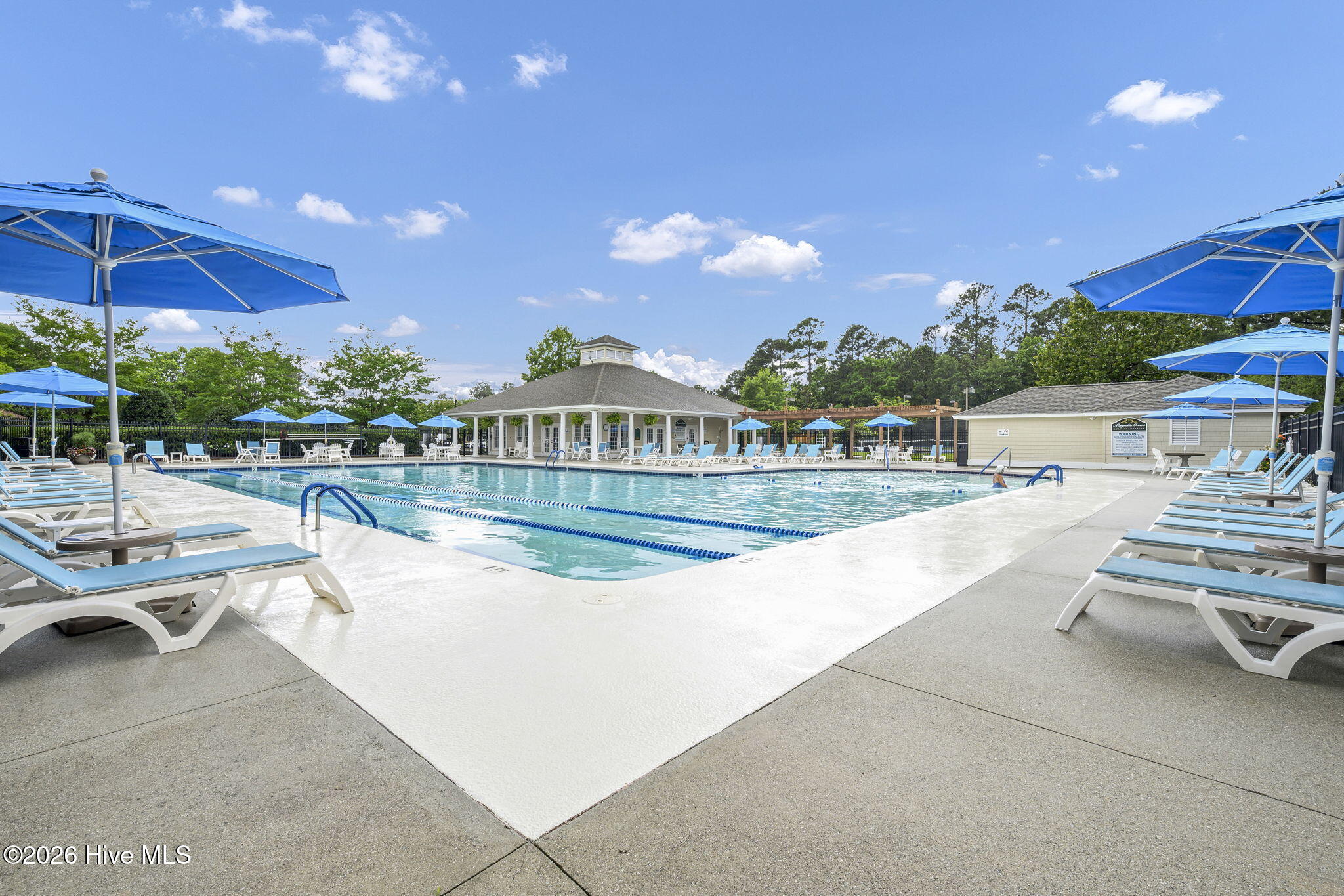 100557033 | Photo 45