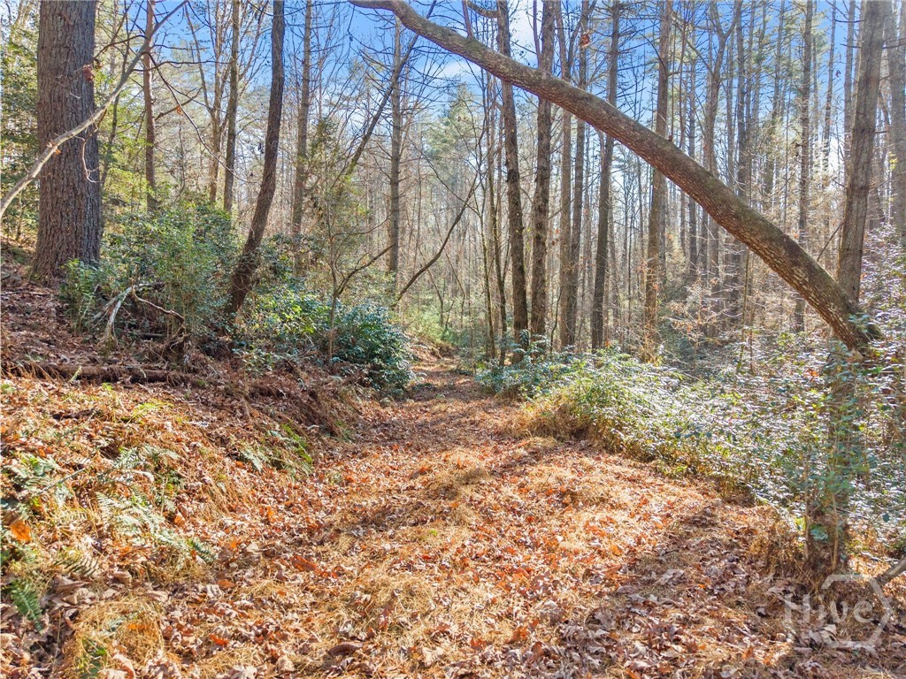 Shoal Creek Tract Habersham County