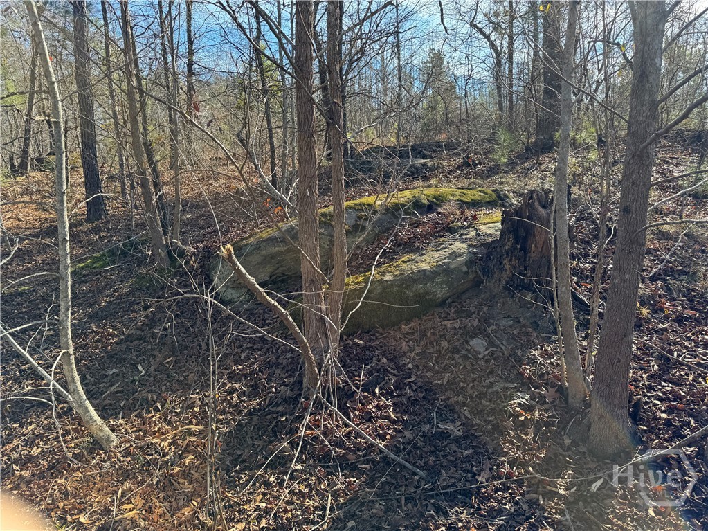 738 Old Mineral Springs Road, Elberton, GA, 30635