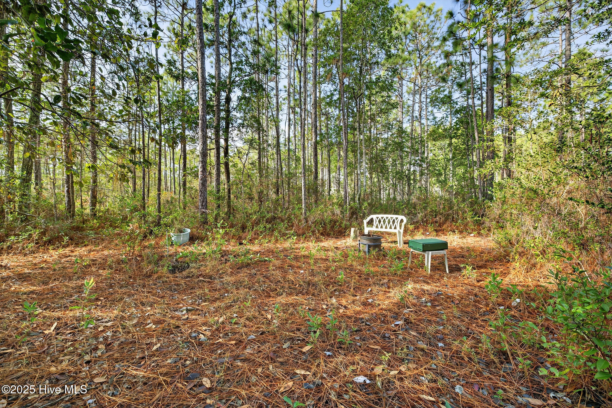 100544256 | Photo 32