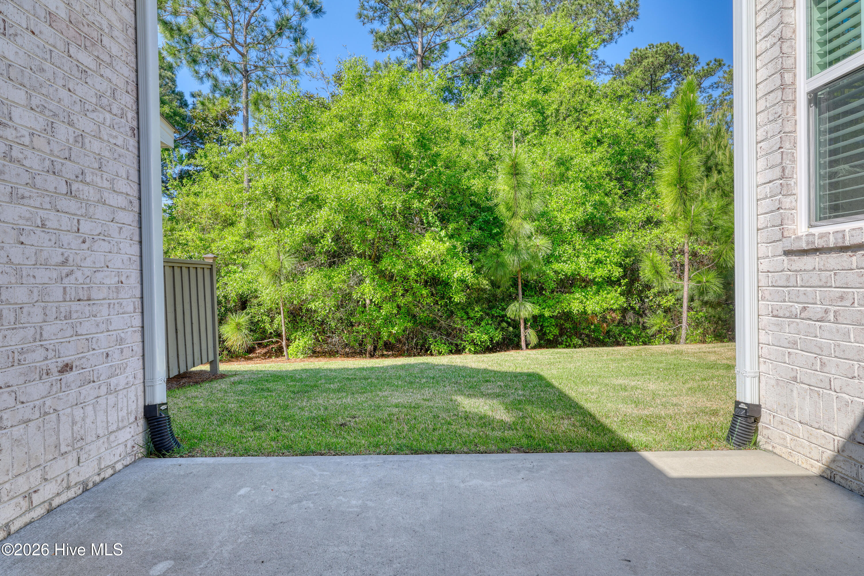 100568121 | Photo 35