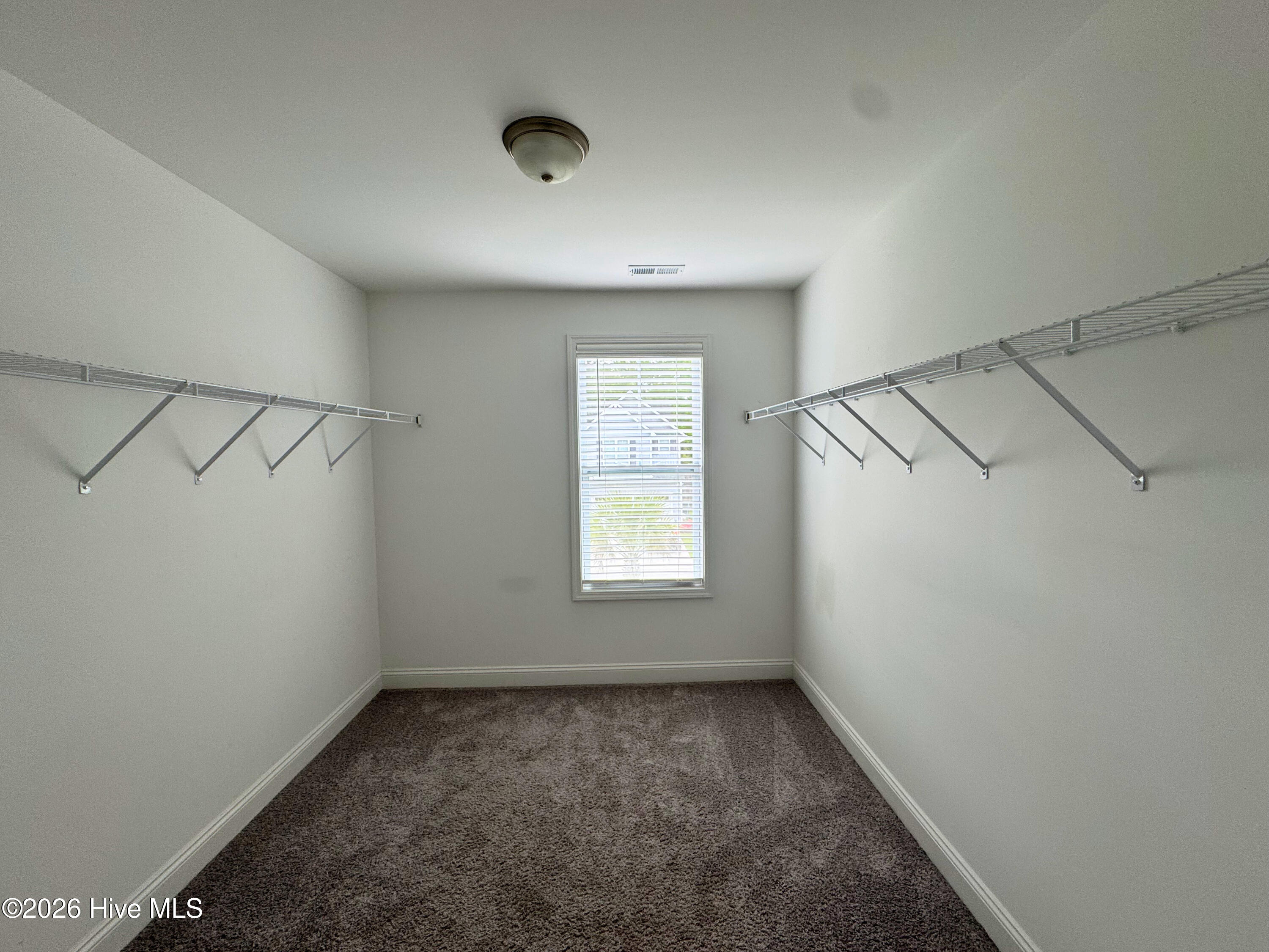 100566006 | Photo 19