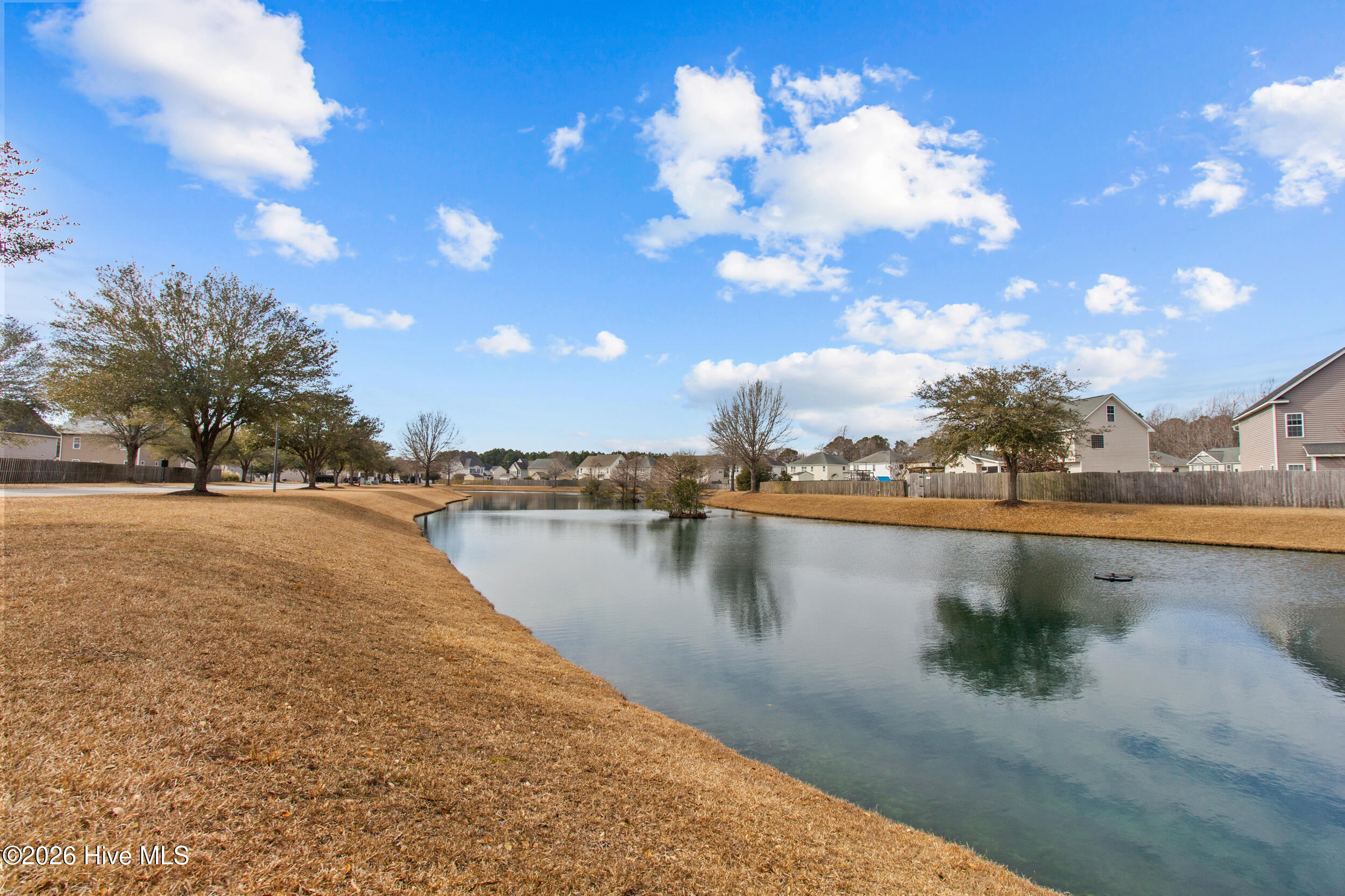 100554579 | Photo 42