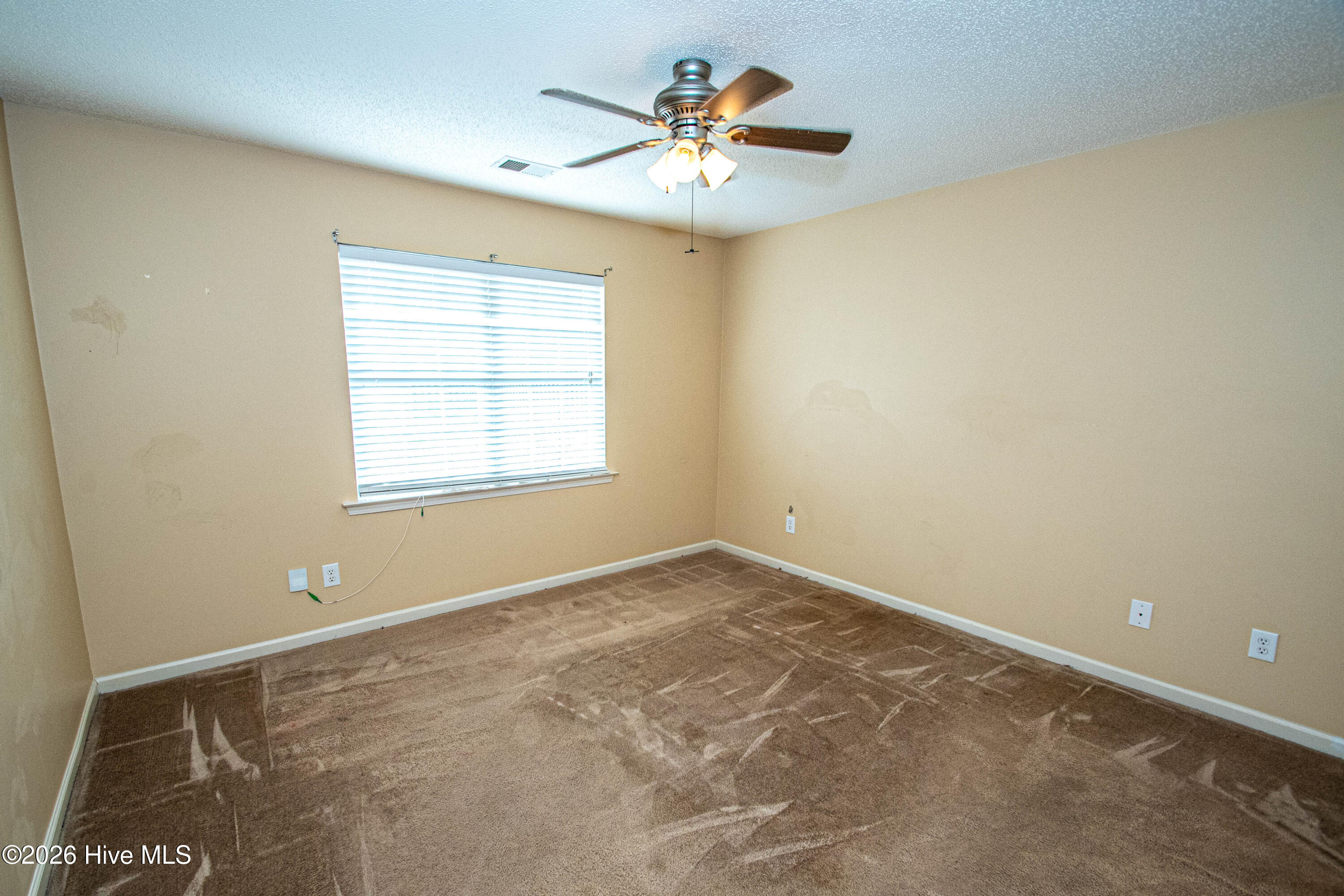 100567931 | Photo 29