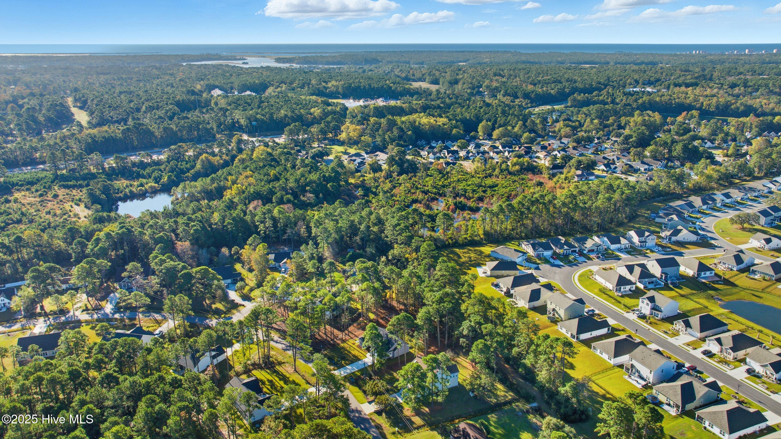 100504171 | Photo 25